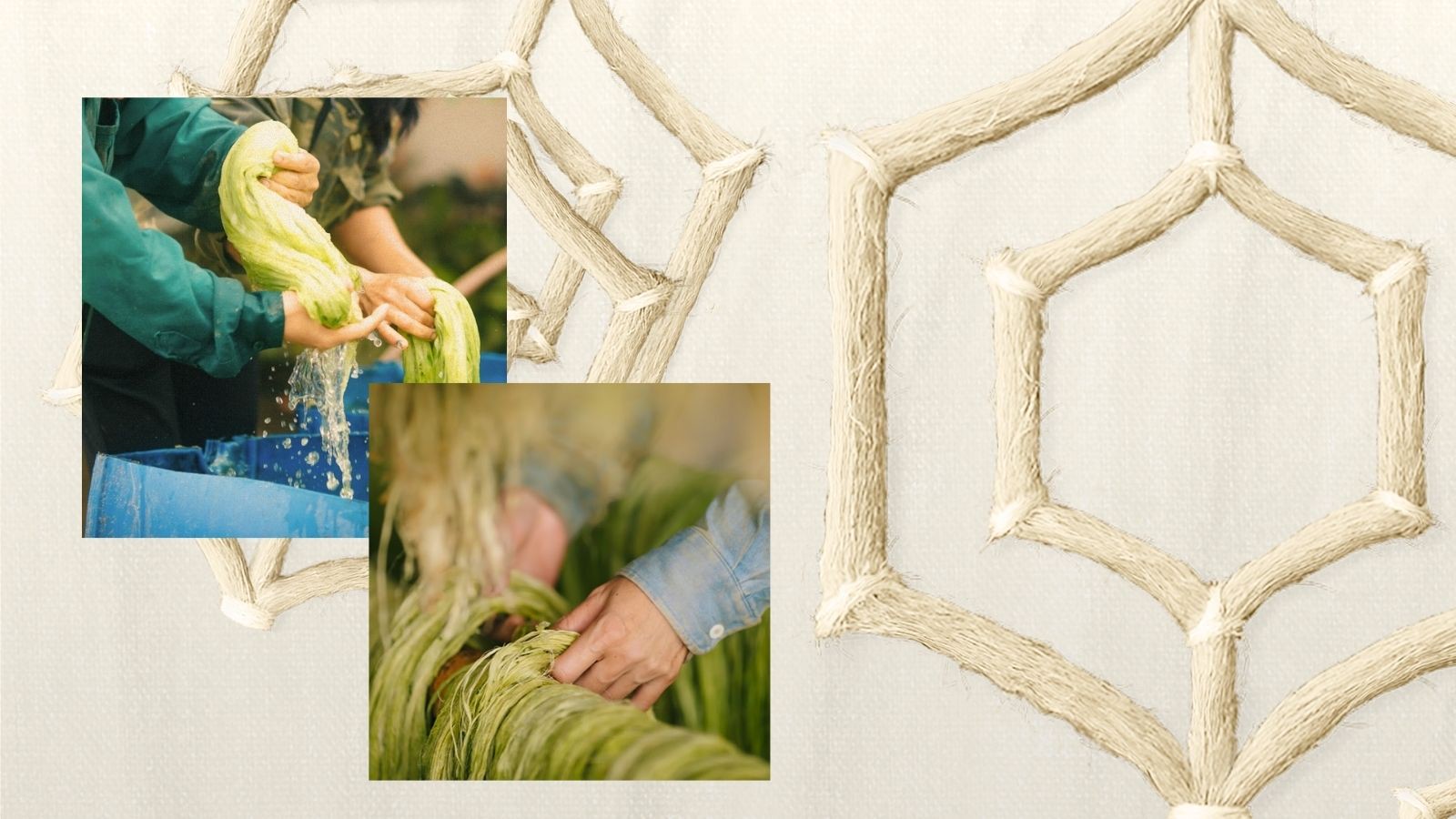 Triển lãm Mặc “Thơm”: Trải nghiệm thời trang đa giác quan từ vải sợi dứa