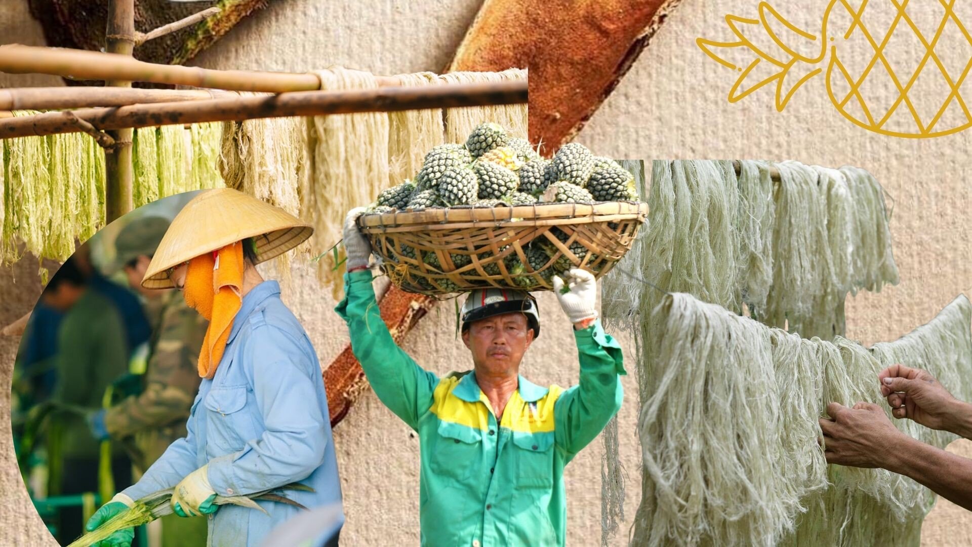 Hinh anh Đọc thêm: 2