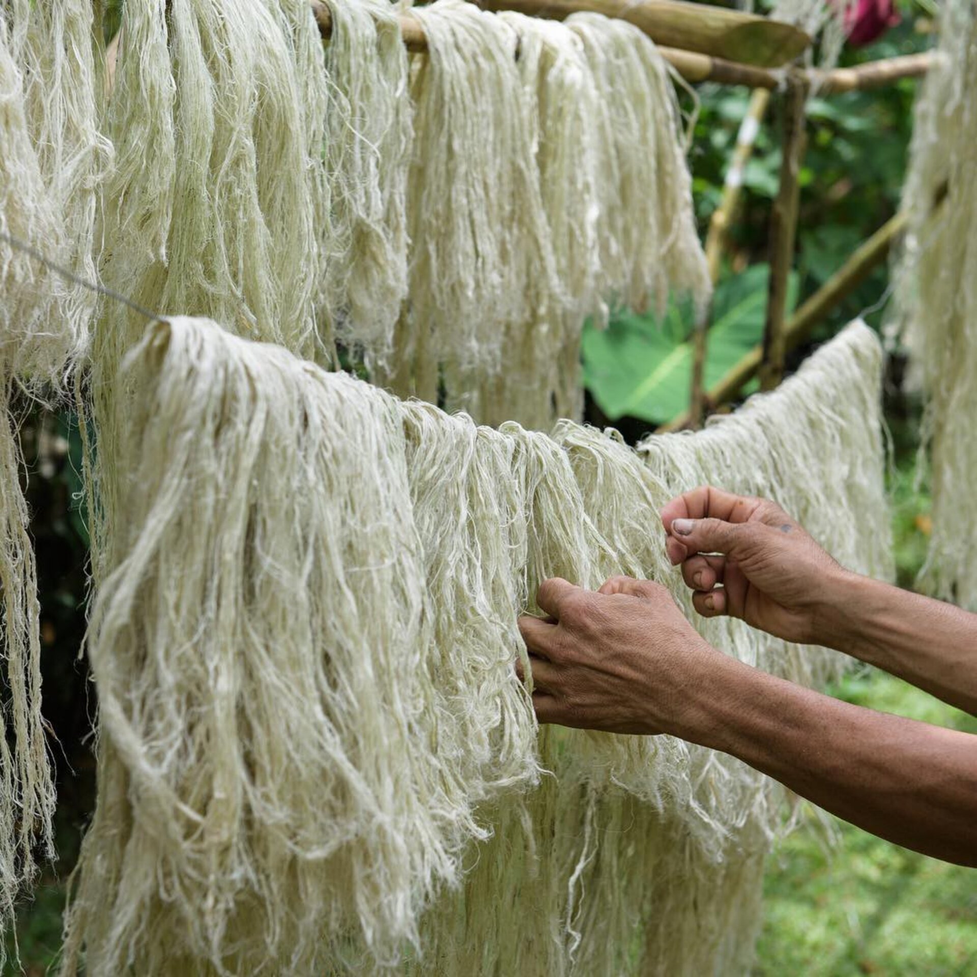 Hinh anh Mặc “Thơm”: Cú bắt tay của những người Việt để tận dụng chất liệu bản địa 1