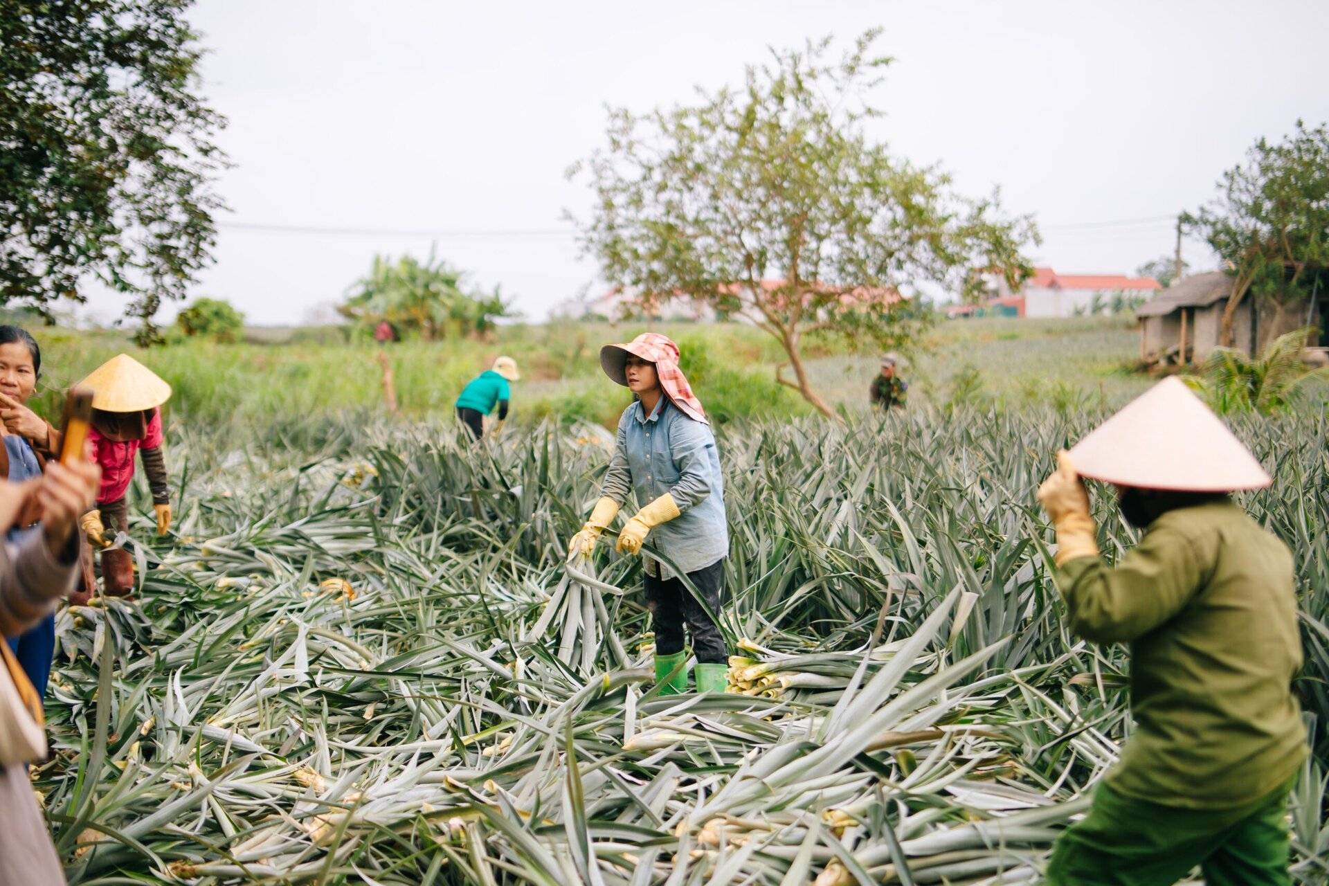 Hinh anh Mặc “Thơm”: Cú bắt tay của những người Việt để tận dụng chất liệu bản địa 2