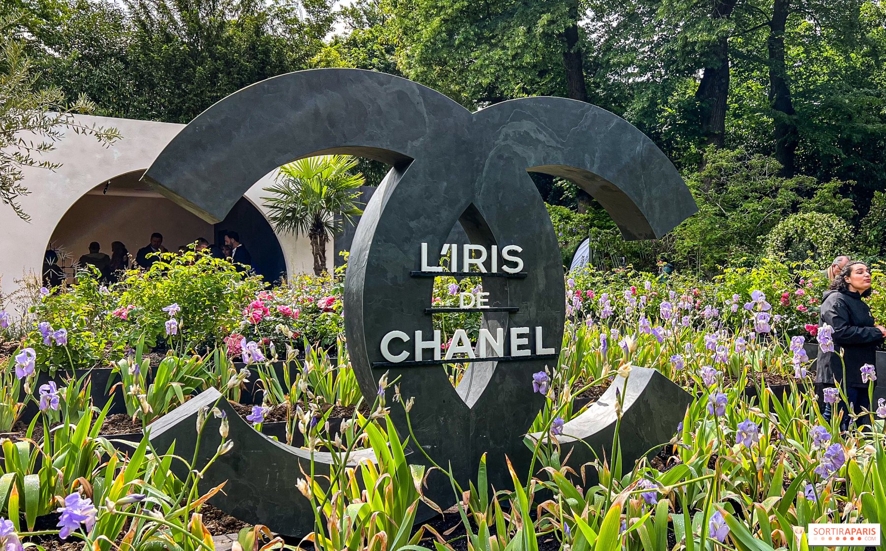 Hinh anh Đọc thêm: 8