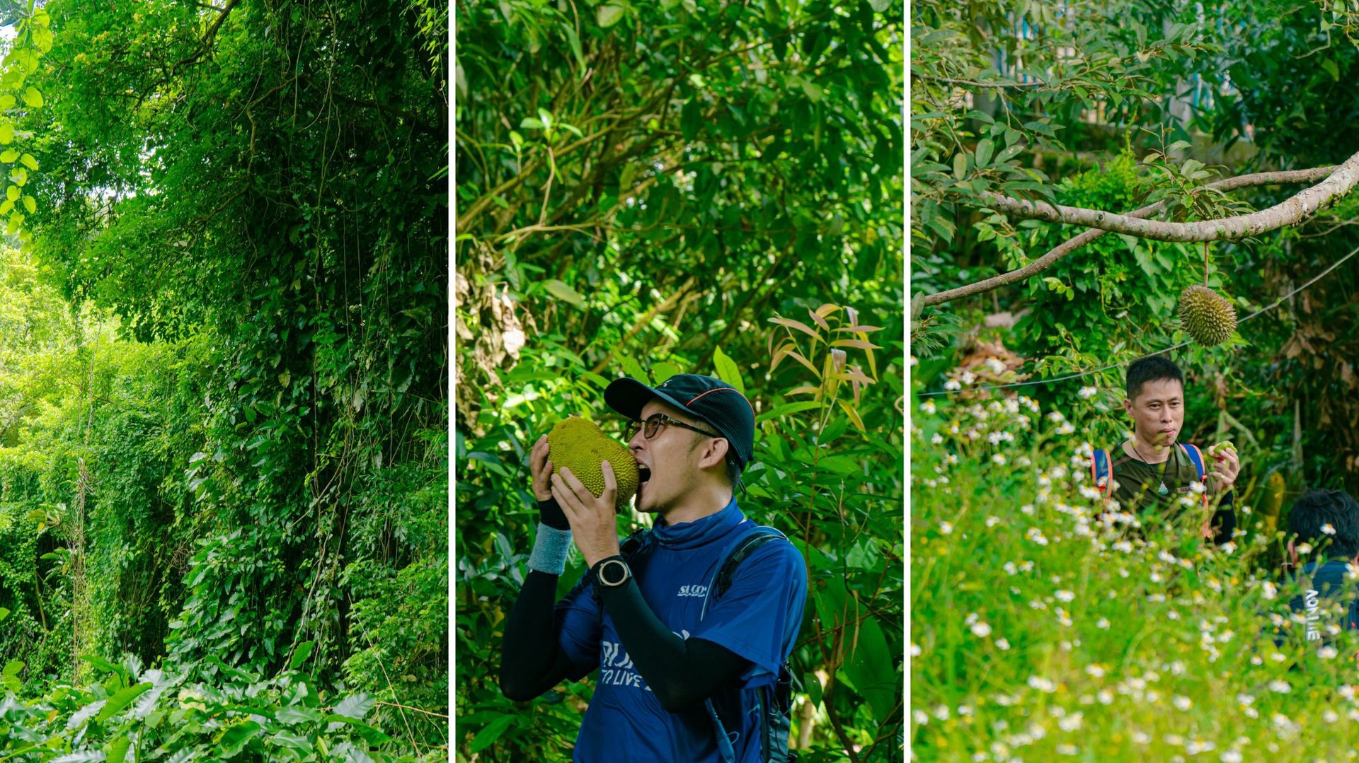 Hinh anh Chinh phục thiên nhiên hoang sơ: Khám phá 9 cung đường trekking gần TP.HCM 3