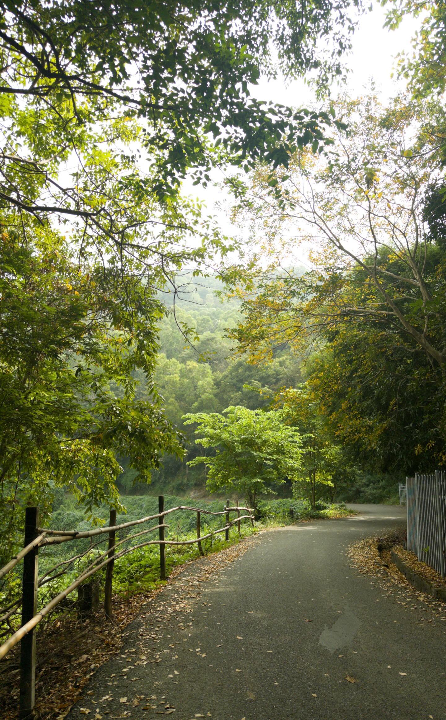 Hinh anh Chinh phục thiên nhiên hoang sơ: Khám phá 9 cung đường trekking gần TP.HCM 6