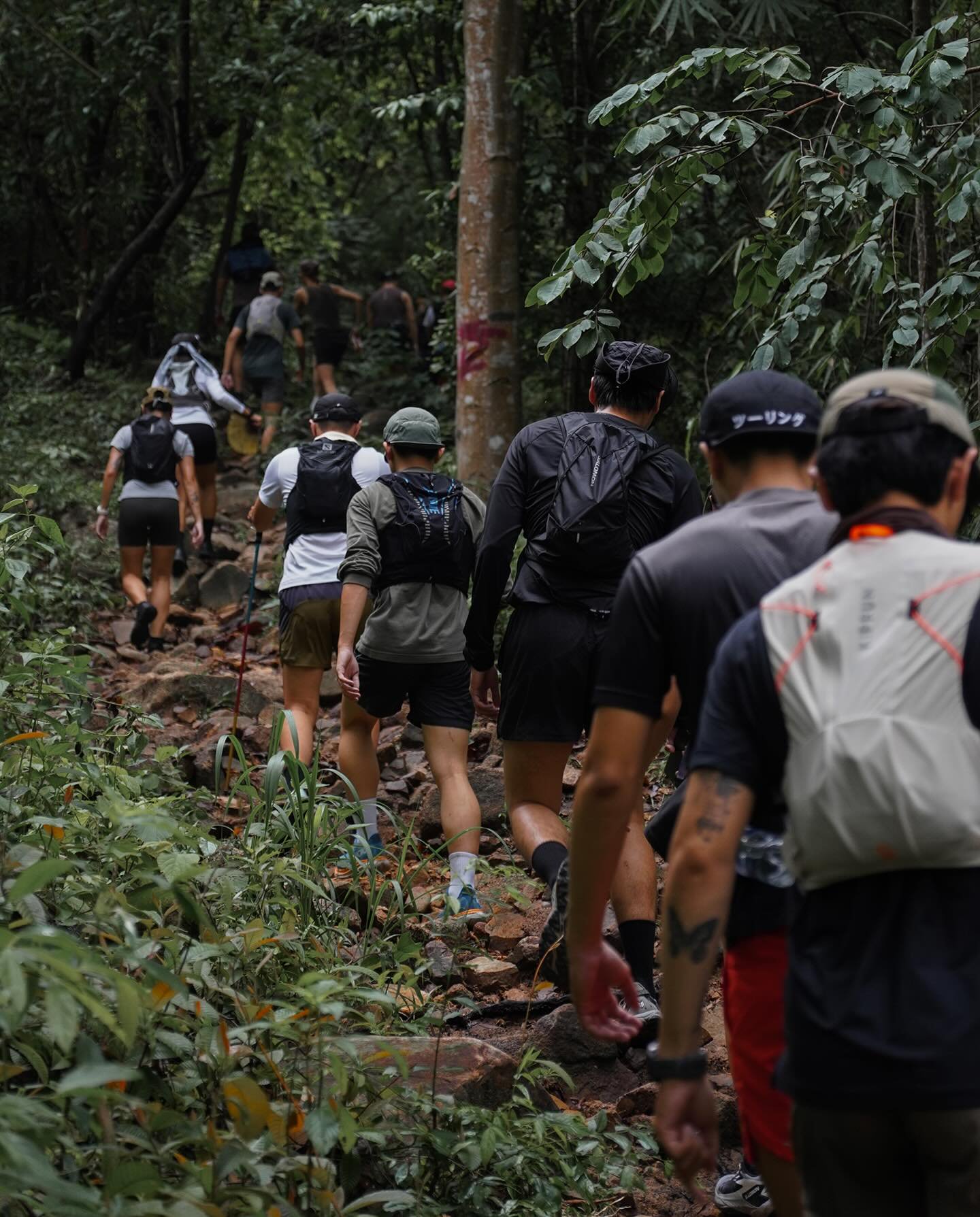 Hinh anh Chinh phục thiên nhiên hoang sơ: Khám phá 9 cung đường trekking gần TP.HCM 8