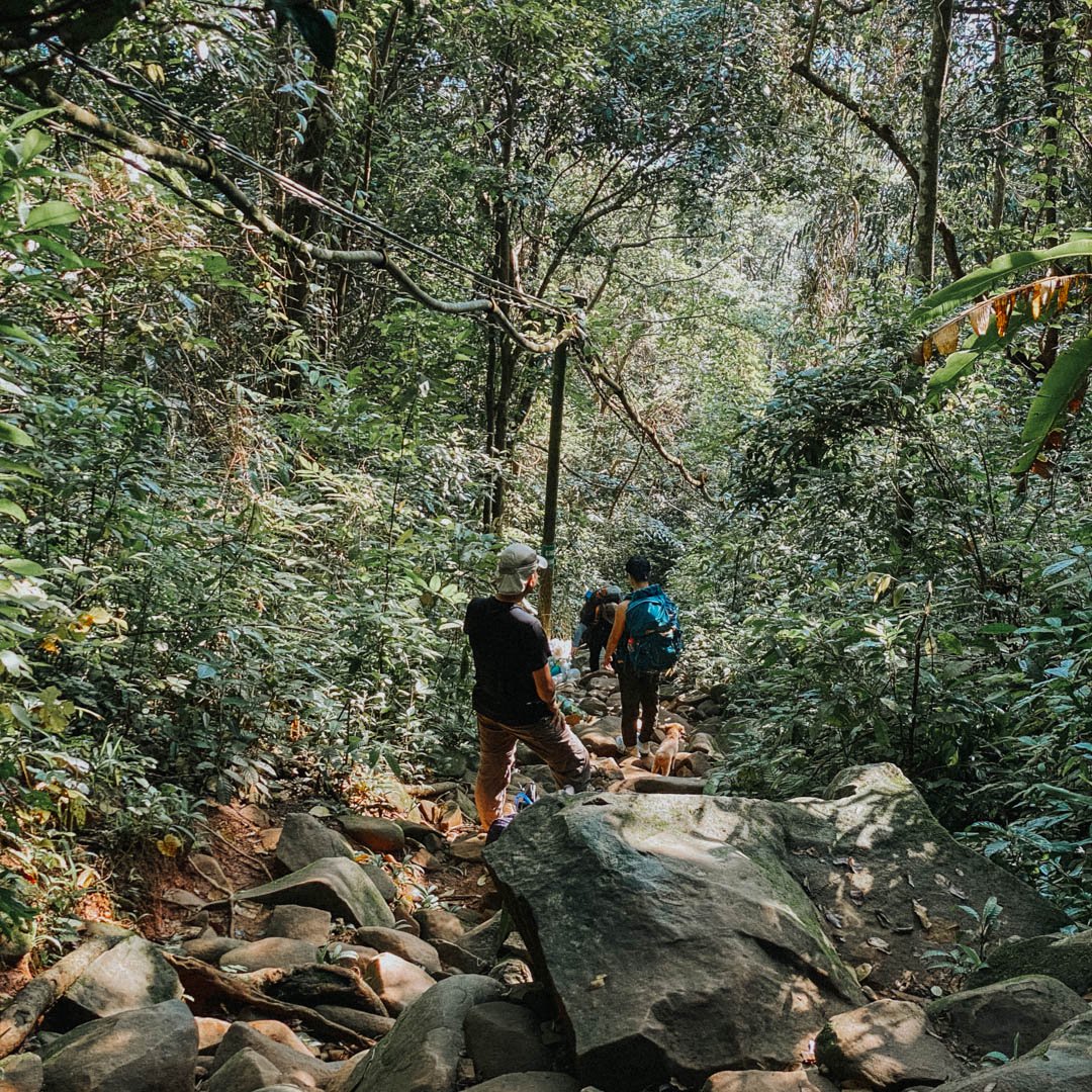 Hinh anh Chinh phục thiên nhiên hoang sơ: Khám phá 9 cung đường trekking gần TP.HCM 10