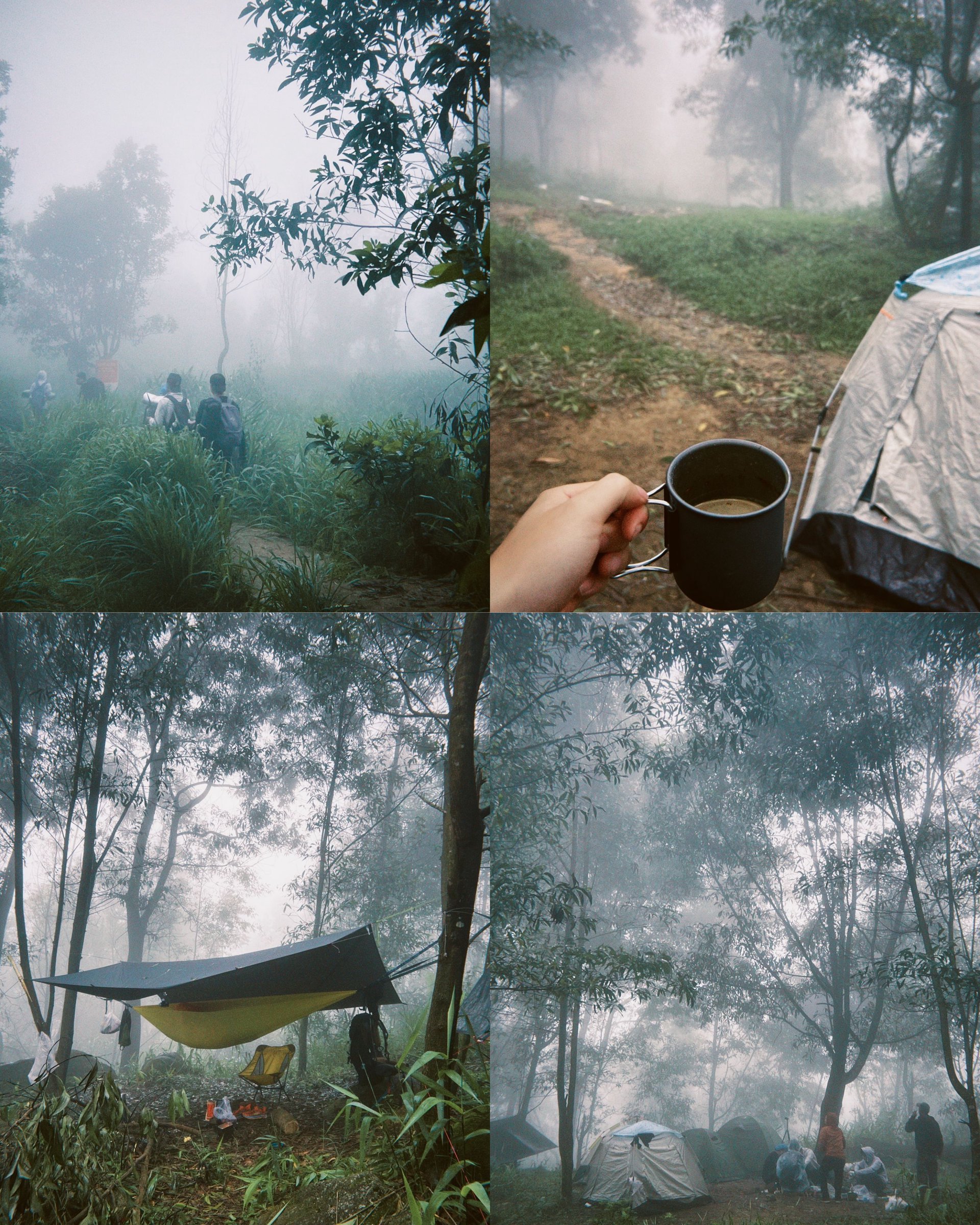 Hinh anh Chinh phục thiên nhiên hoang sơ: Khám phá 9 cung đường trekking gần TP.HCM 19