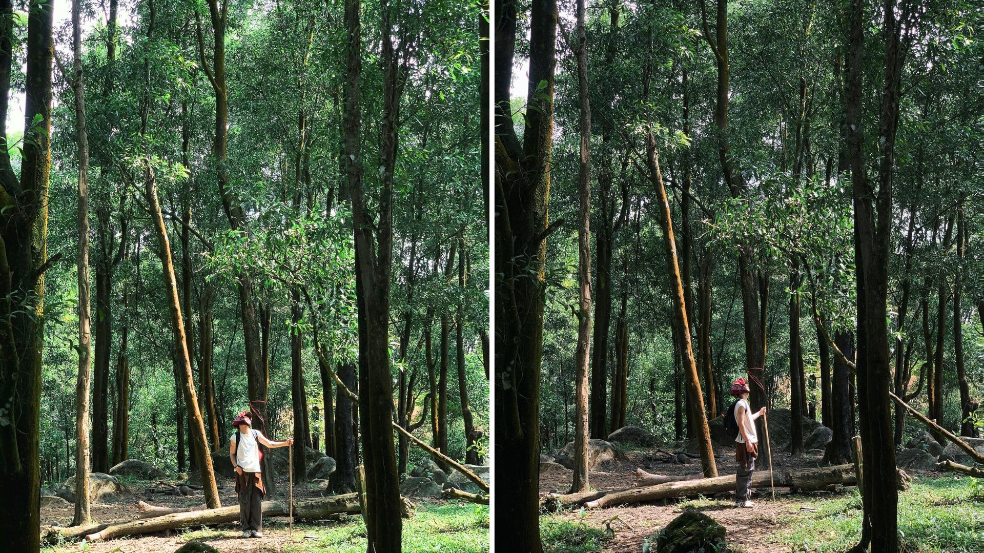Hinh anh Chinh phục thiên nhiên hoang sơ: Khám phá 9 cung đường trekking gần TP.HCM 20
