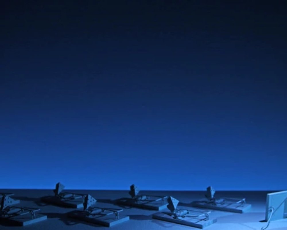 Hinh anh Bài học rút ra: 1