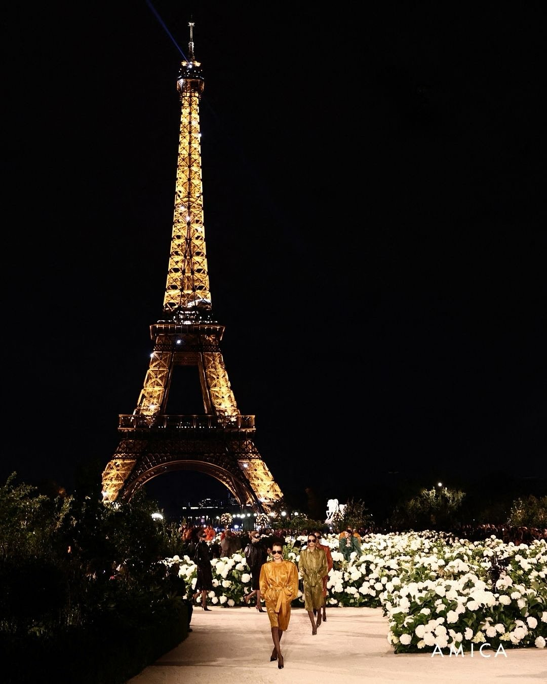 Hinh anh Tháp Eiffel, cẩm tú cầu và một đêm Saint Laurent SS26 1