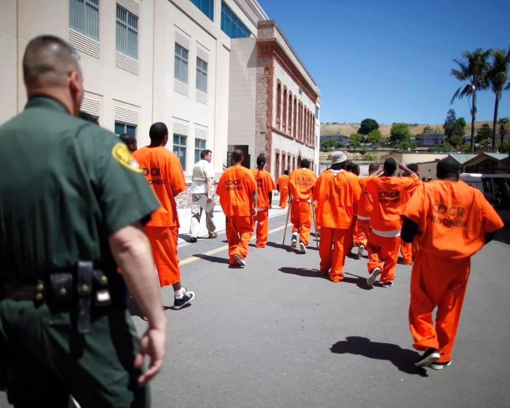 Ảnh: American Bulter