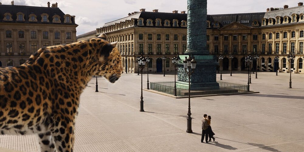 Hinh anh LOVE: chung thuỷ một tình yêu chưa bao giờ cũ 1