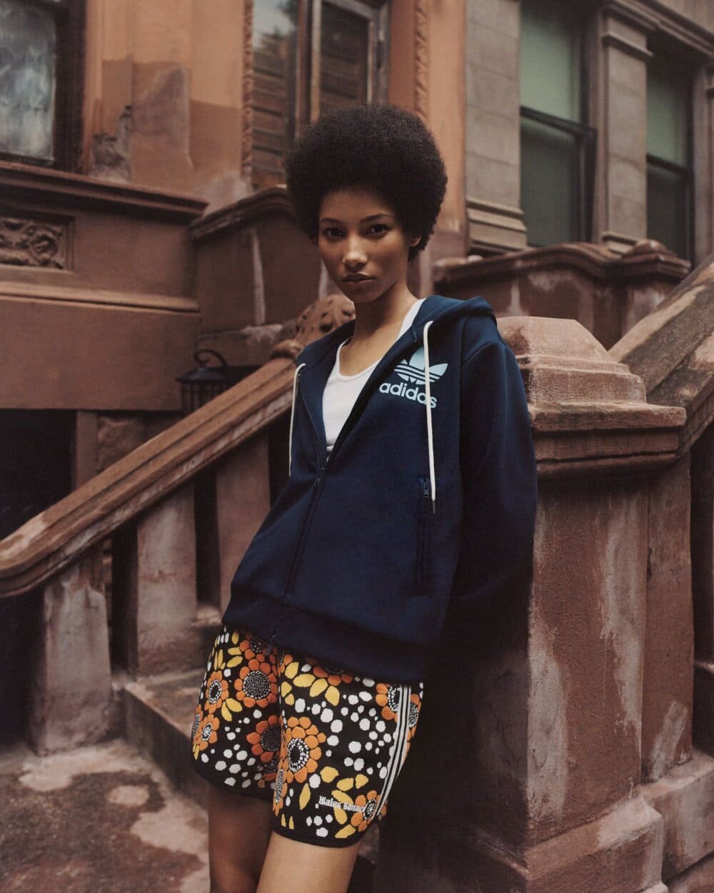 Hinh anh Hợp tác và tiếng vang quốc tế 3