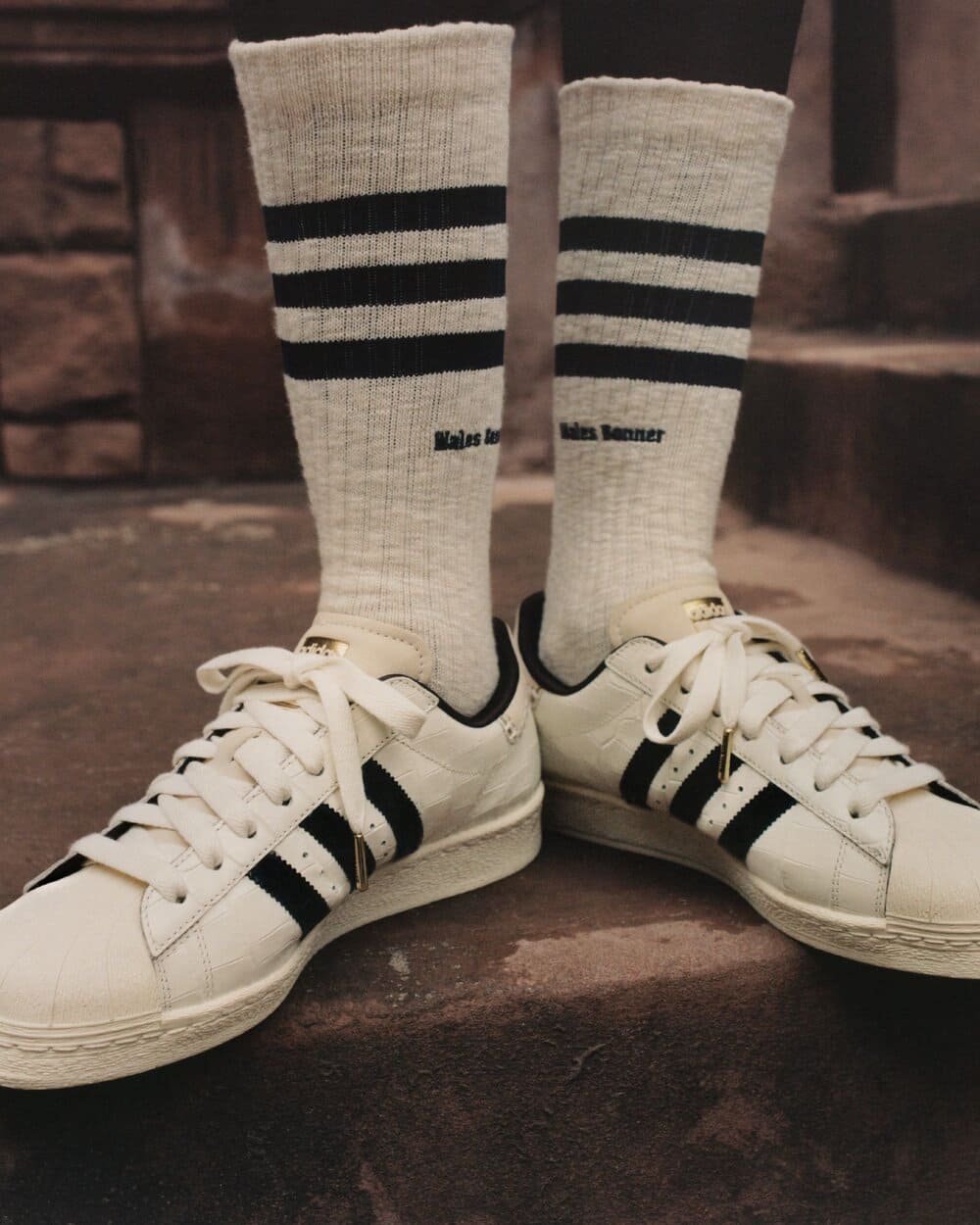 Hinh anh Hợp tác và tiếng vang quốc tế 5