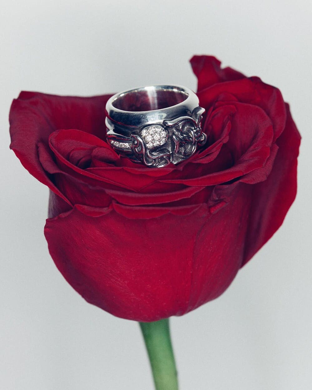 Hinh anh Hoàn hảo trở thành gánh nặng 2