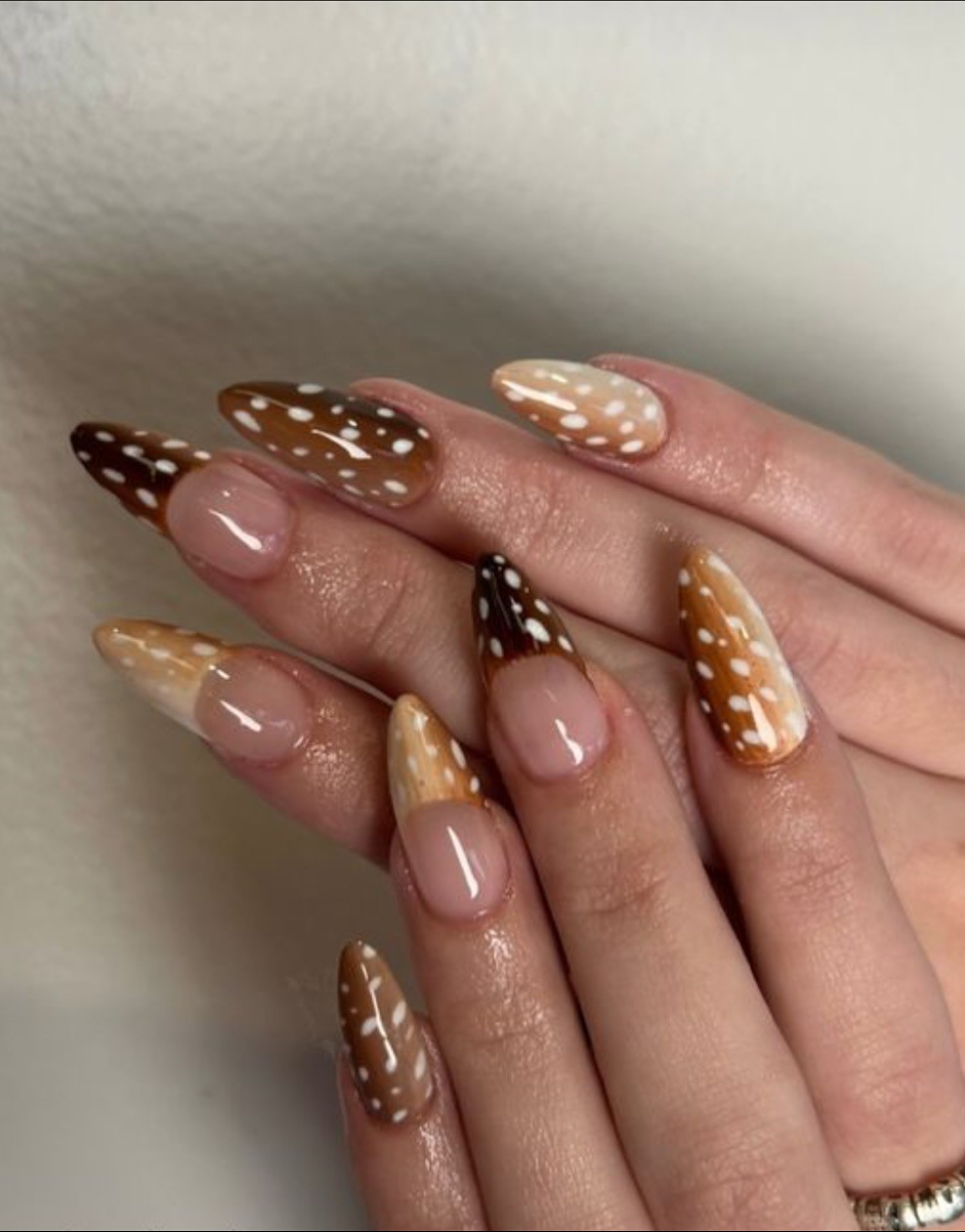 Hinh anh Họa tiết động vật 7