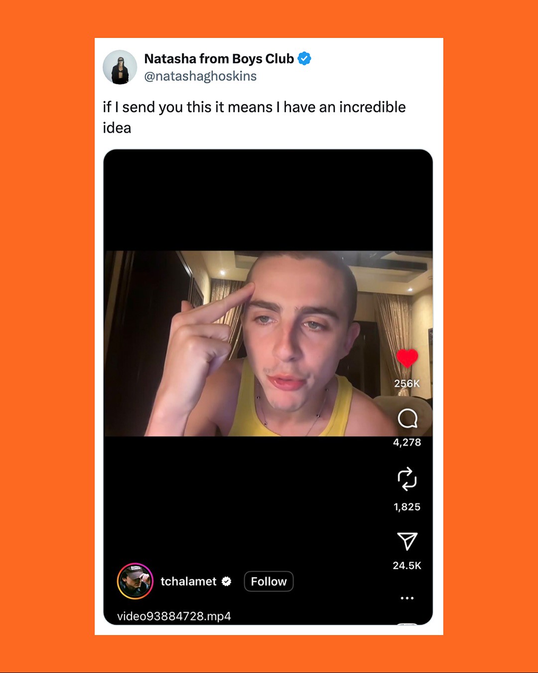 Hinh anh A24: Hãng phim viết lại luật chơi từ phòng vé đến tủ đồ của khán giả 4