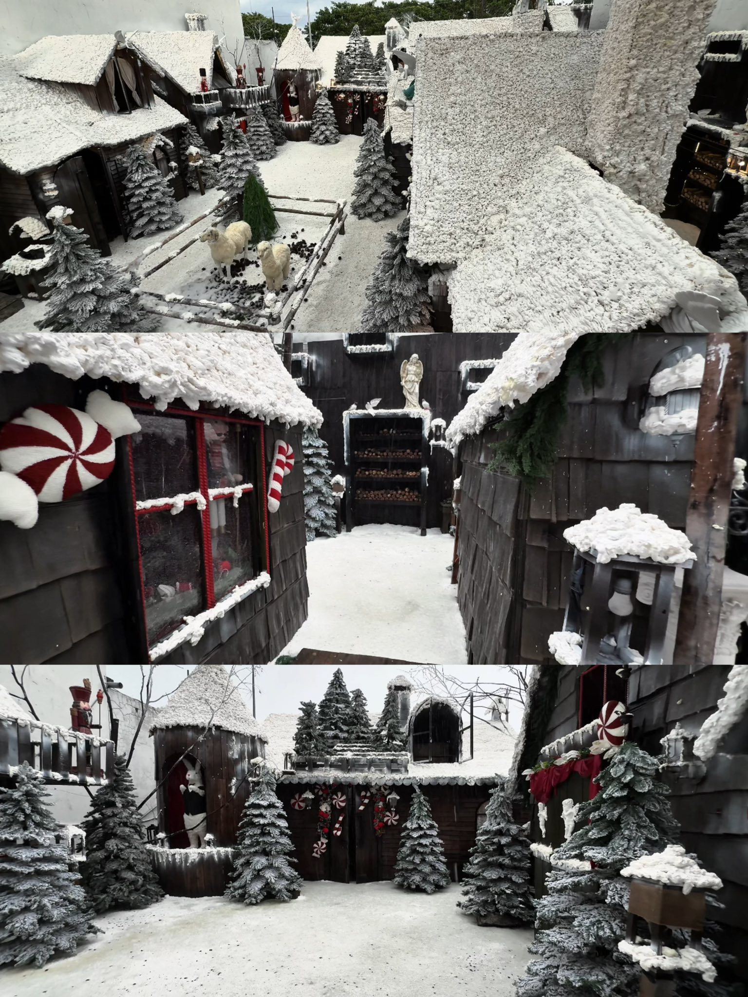 Hinh anh 5 quán cà phê biến Sài Gòn trở thành “kinh đô Giáng sinh” 13