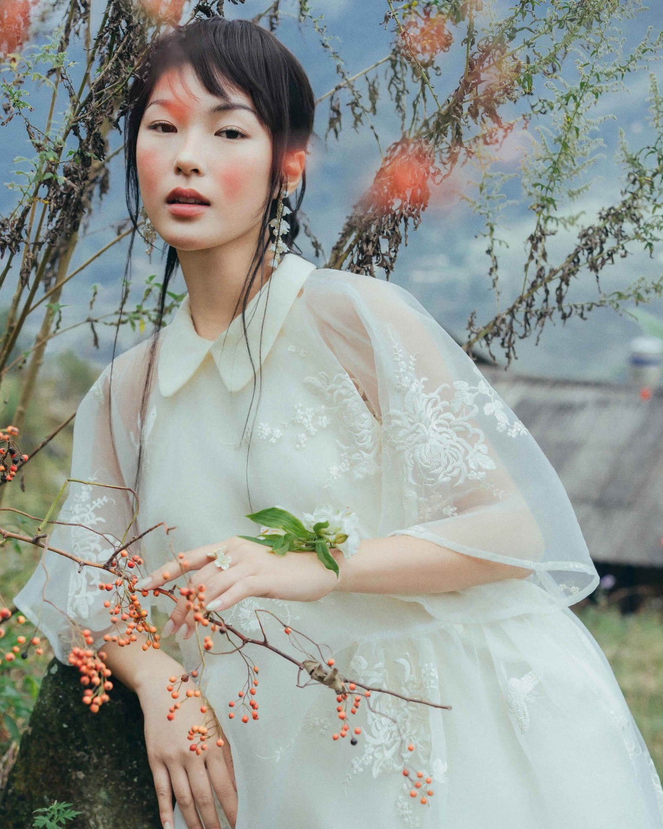 Hinh anh Tủ Nhà Mây 11