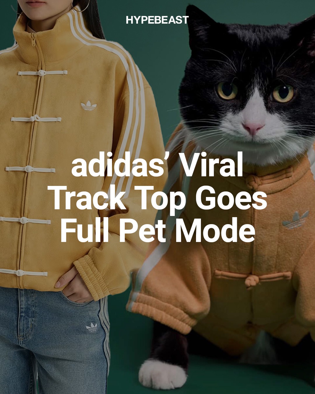 Hinh anh adidas ra mắt Track Top dành cho thú cưng tại thị trường Trung Quốc 2