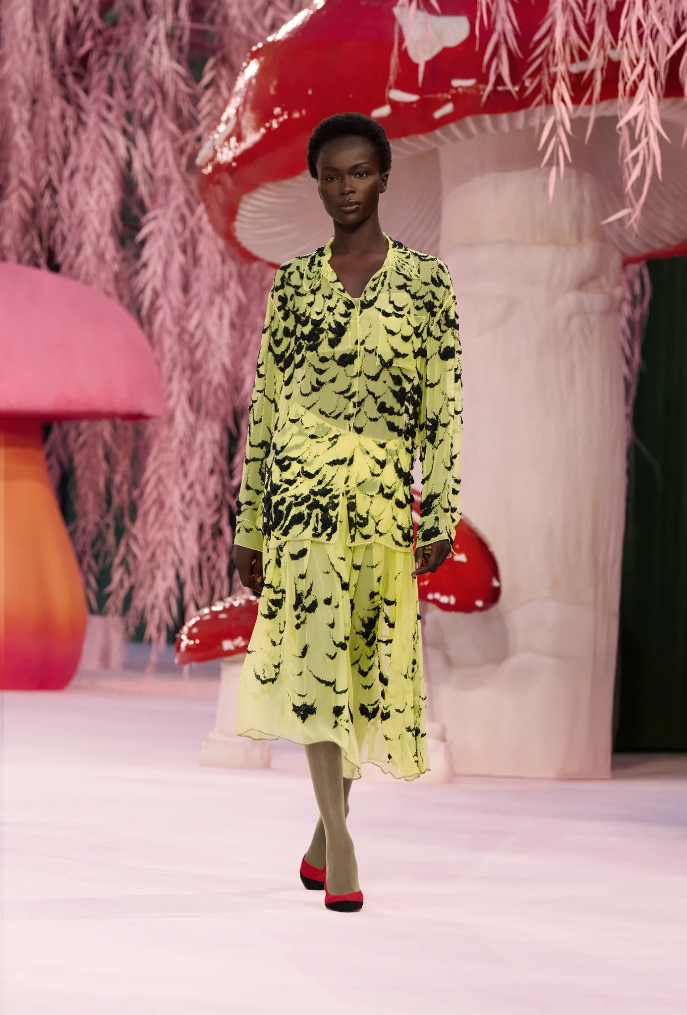 Hinh anh Khi sự mong manh trở thành ngôn ngữ chính 12