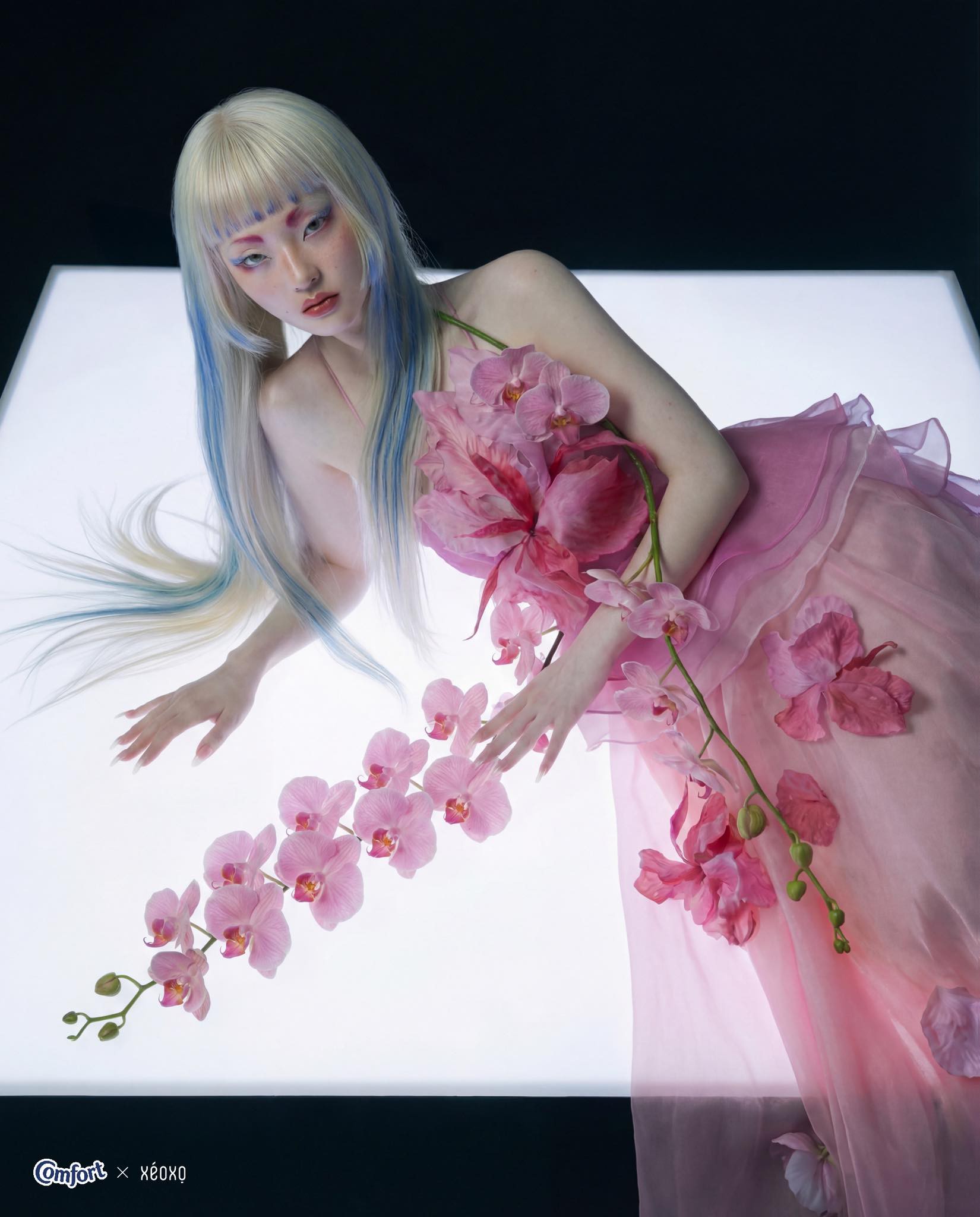 Hinh anh Local brand chào  Xuân Bính Ngọ 2026: Các chiến dịch mùa Tết ấn tượng 12