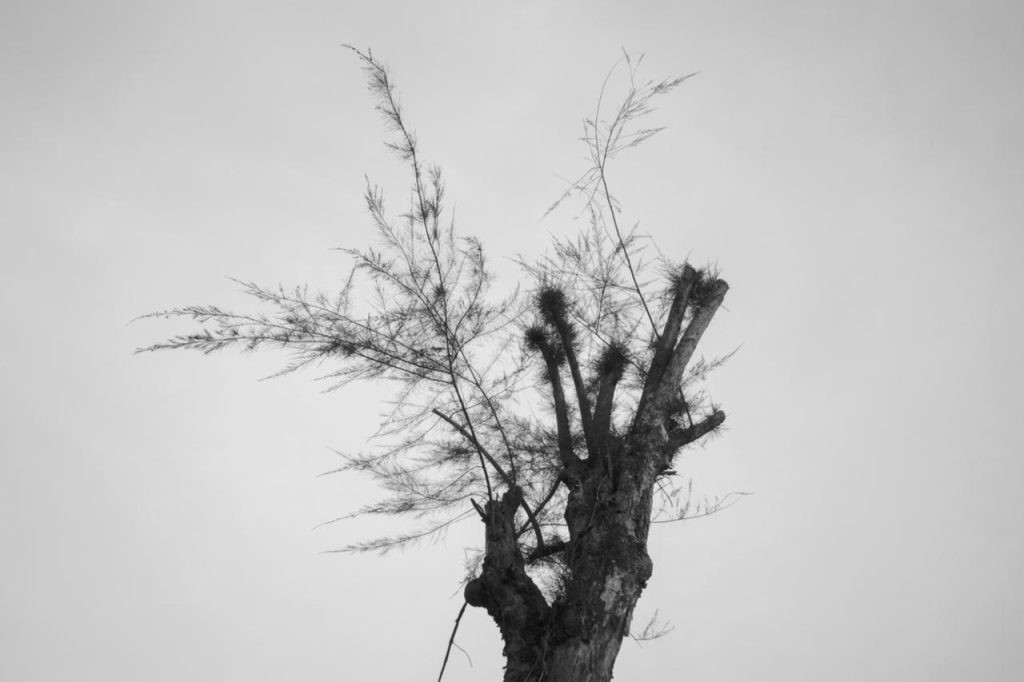 Hinh anh Dành cho những tâm hồn yêu cái đẹp: 7 sự kiện nghệ thuật tháng 2 11