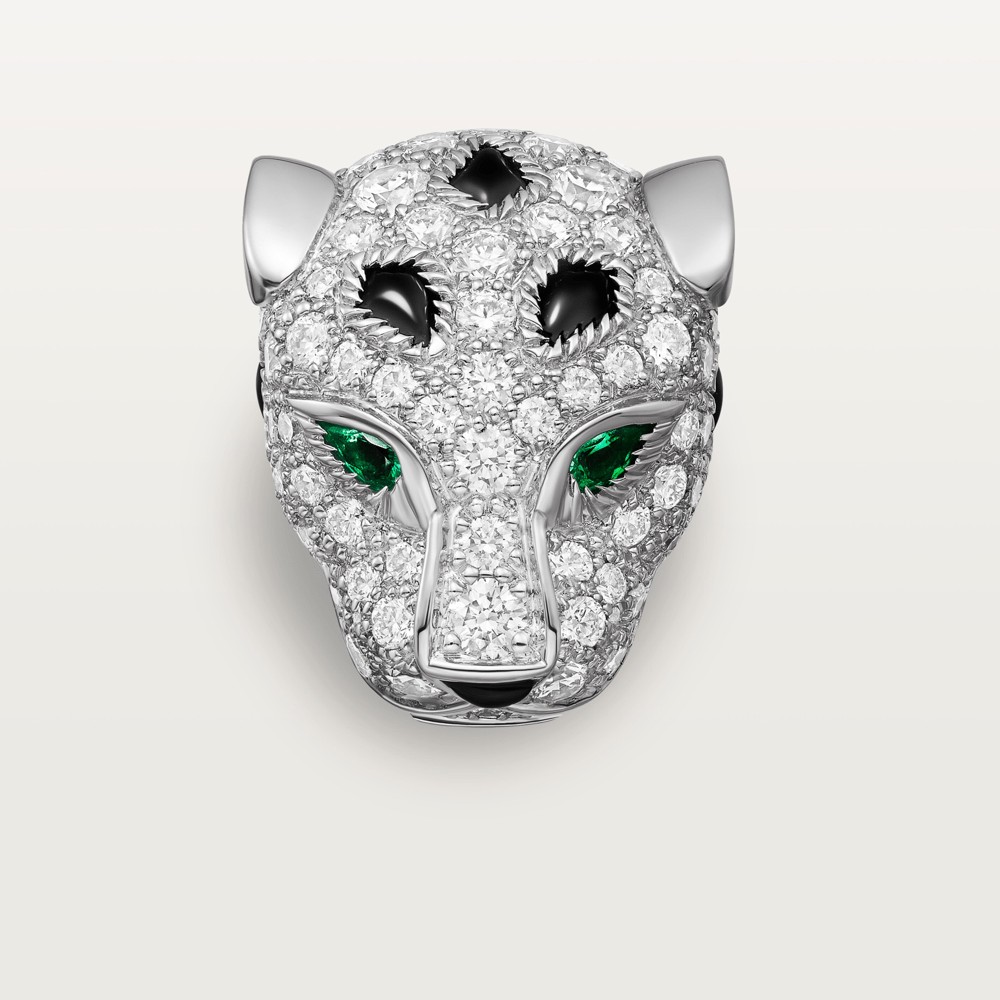 Hinh anh Cartier đồng hành cùng Hoàng Dũng trong đêm nhạc lớn nhất sự nghiệp 3