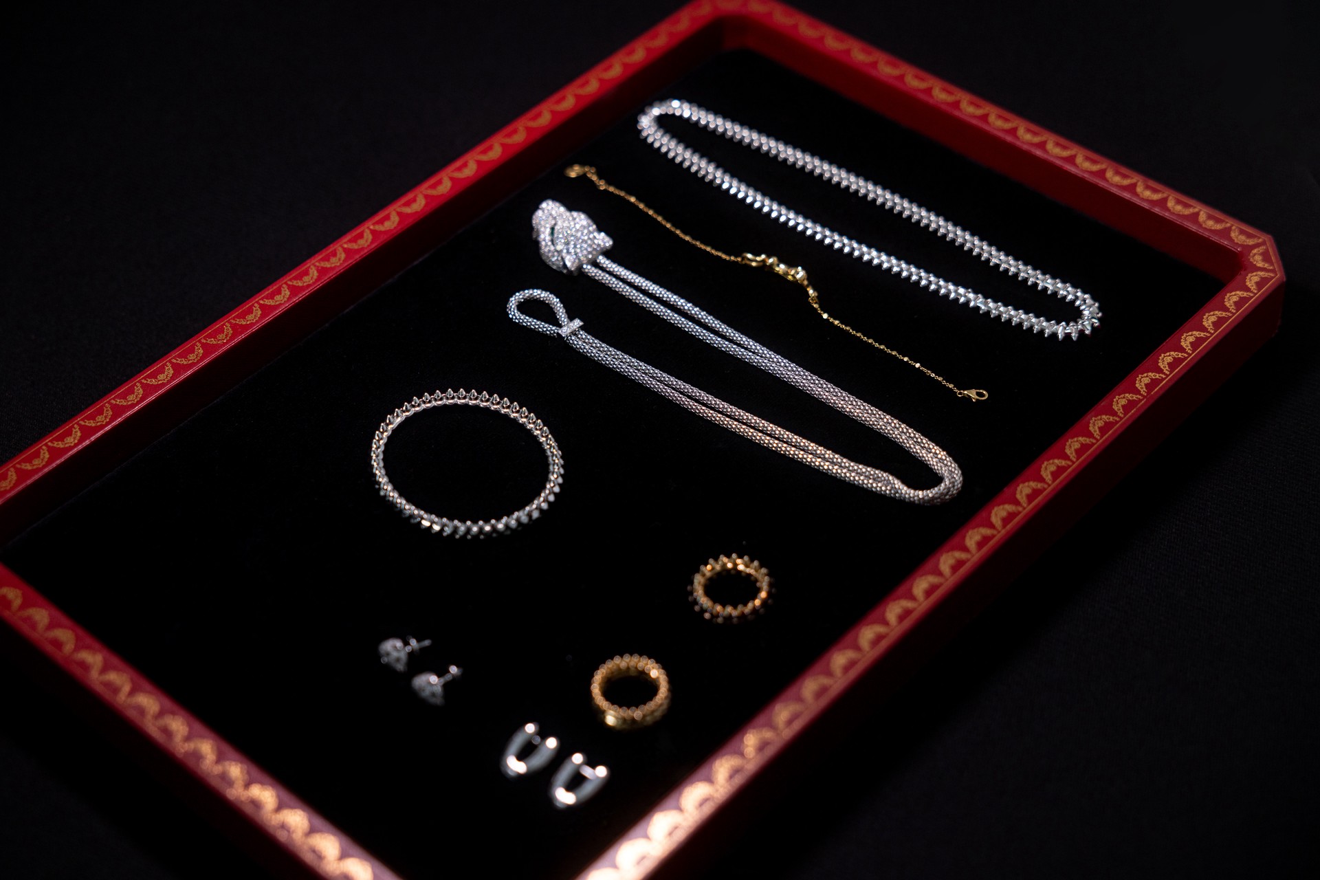 Hinh anh Cartier đồng hành cùng Hoàng Dũng trong đêm nhạc lớn nhất sự nghiệp 9