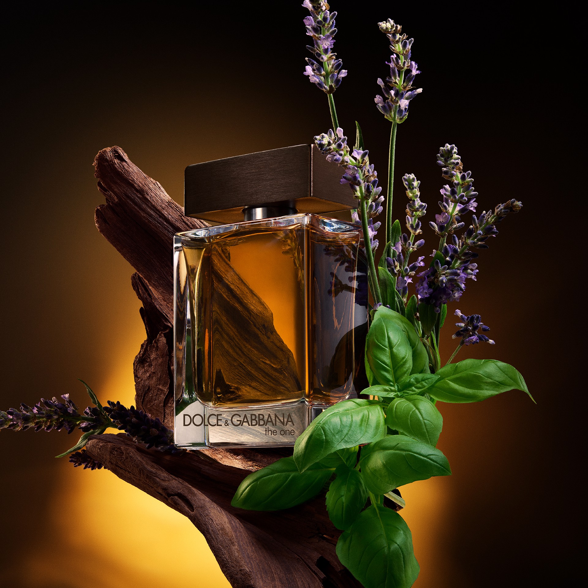 Hinh anh Madonna x Dolce&Gabbana: Khi “nữ hoàng” nắm giữ dây cương của sự quyến rũ 5