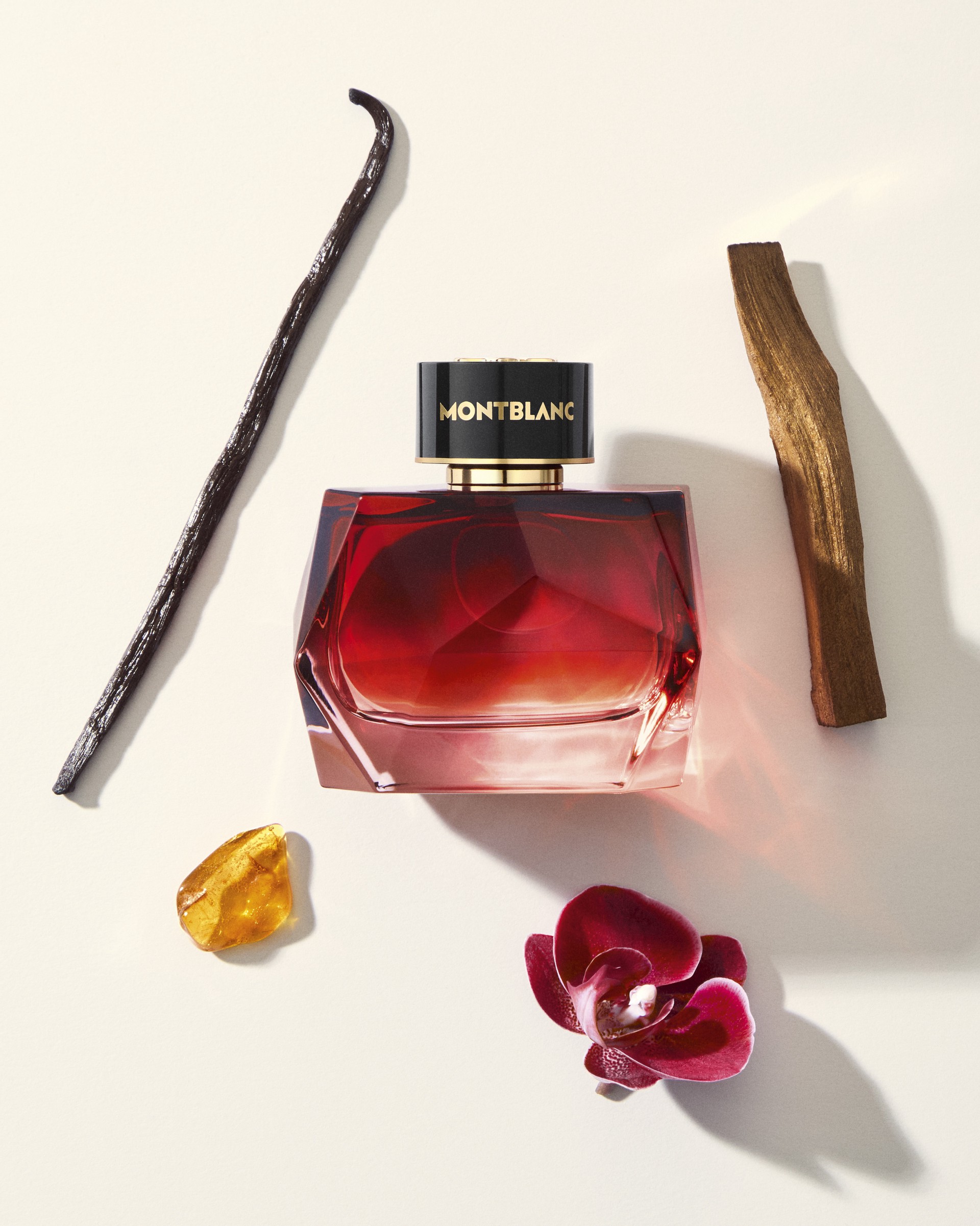 Hinh anh Signature Elixir và cách Montblanc tái định hình "gợi cảm đương đại" 2