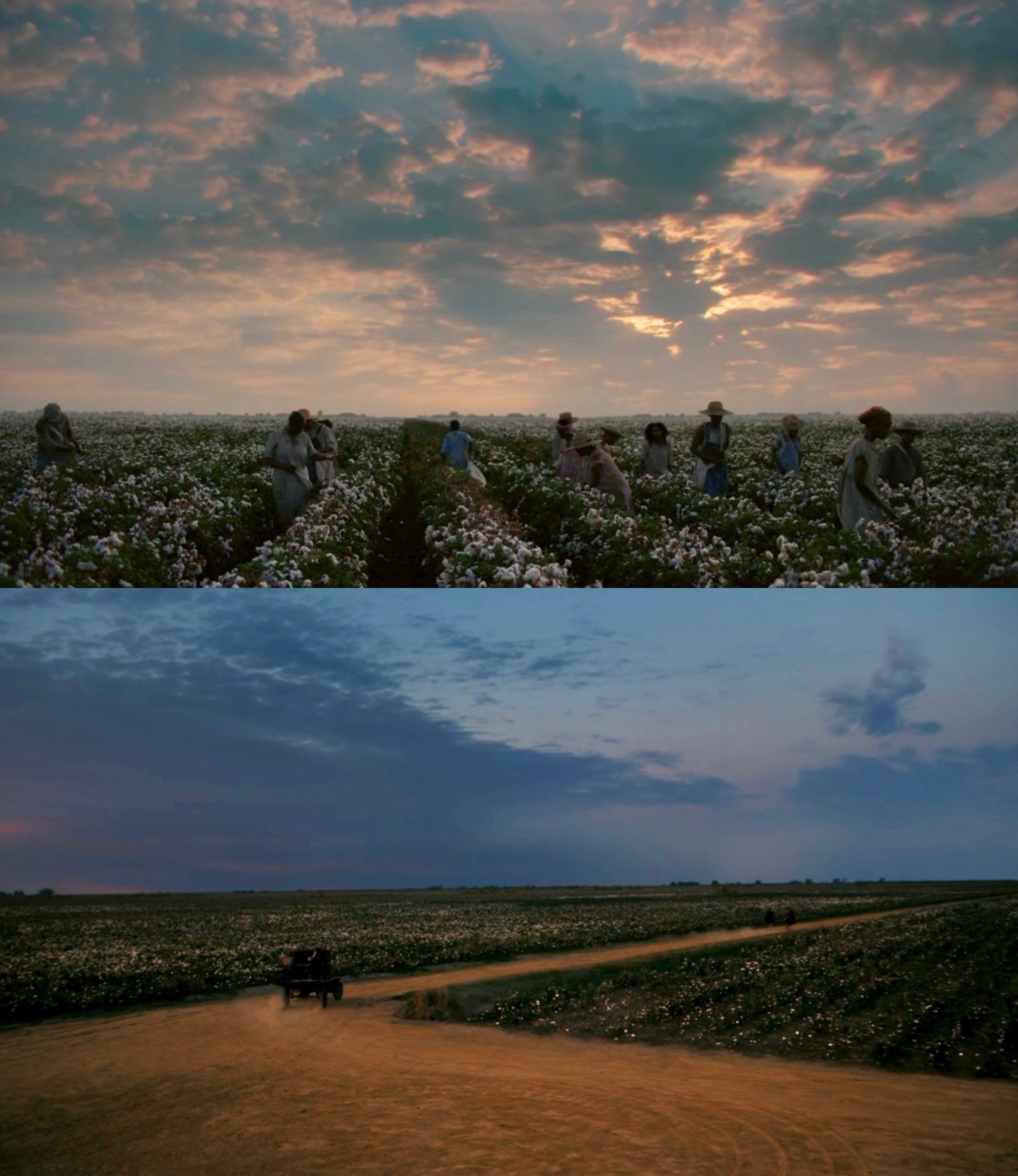 Hinh anh Autumn Durald Arkapaw xác lập kỷ lục: Người phụ nữ đầu tiên thắng giải “Quay phim xuất sắc nhất” tại Oscars 11