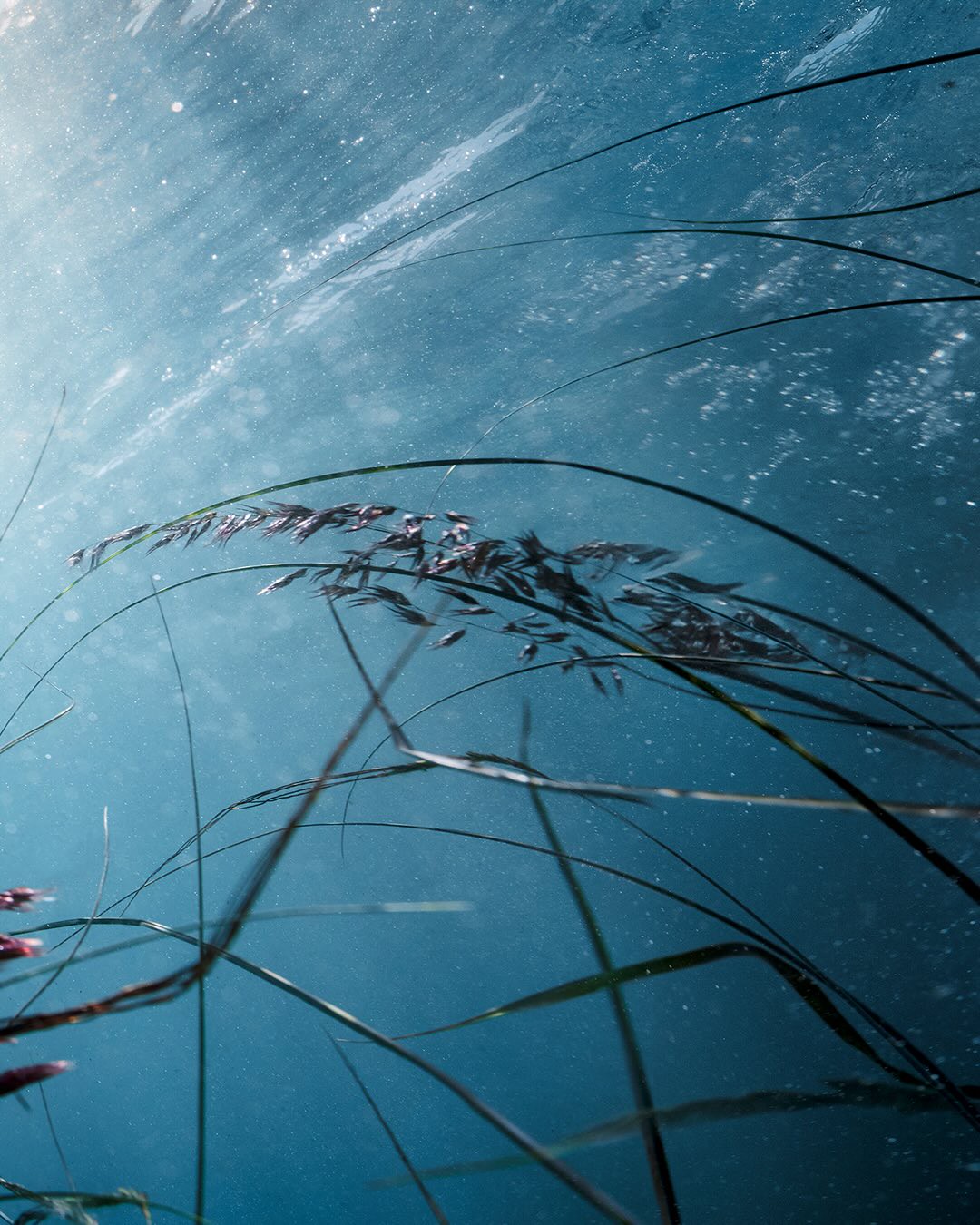 Hinh anh Hermès mở rộng sang lĩnh vực skincare 3