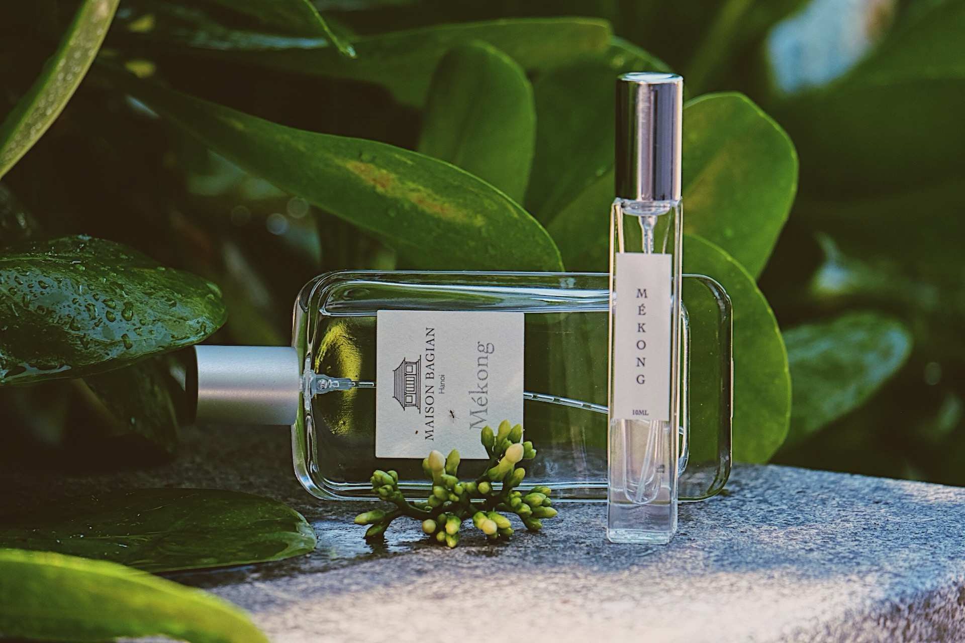 Hinh anh Nước hoa Việt cần gì để ‘toả hương’ xa như Paris và Dubai? 3