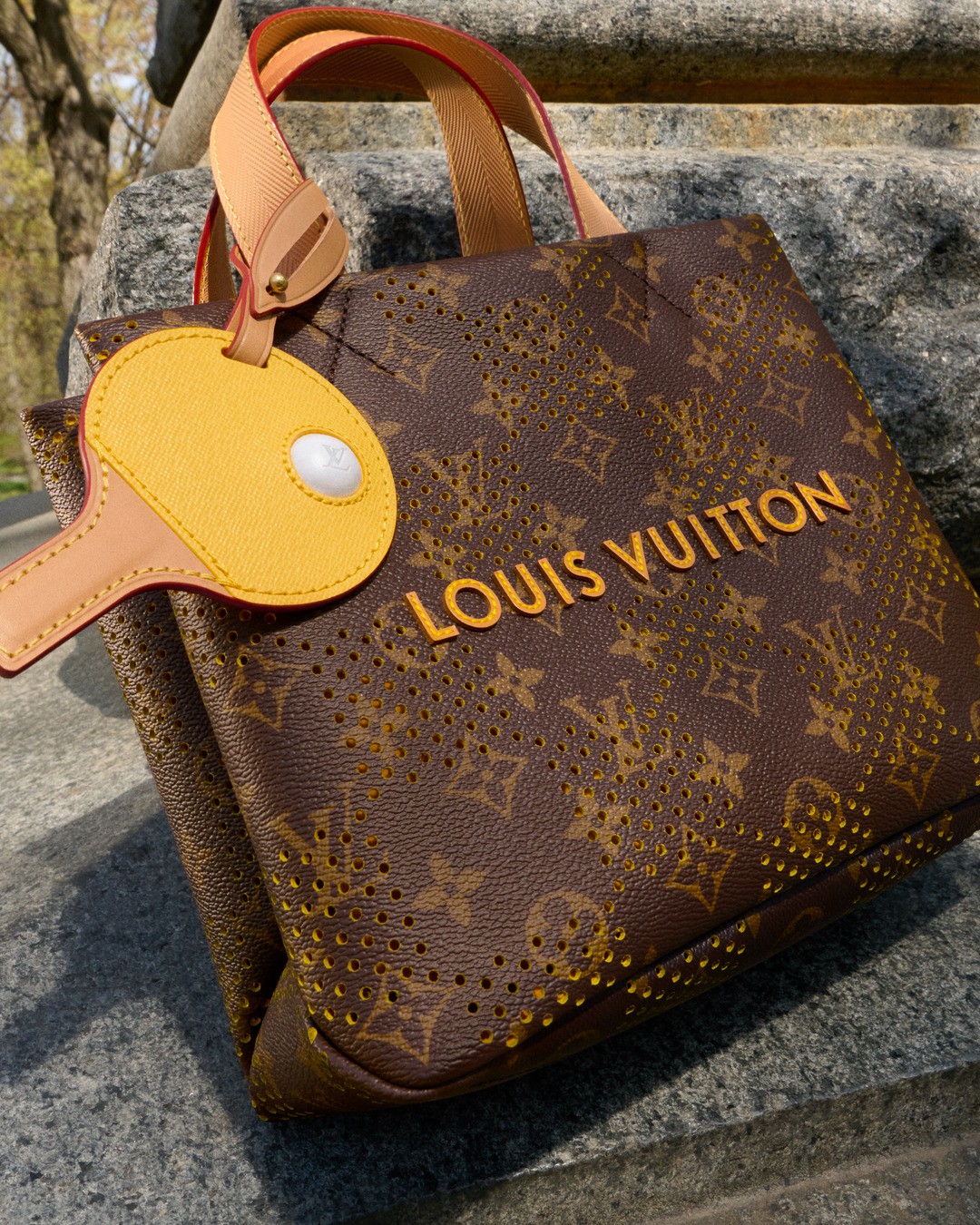 Hinh anh Một ngày ở Central Park cùng Tyshawn Jones và Louis Vuitton 7