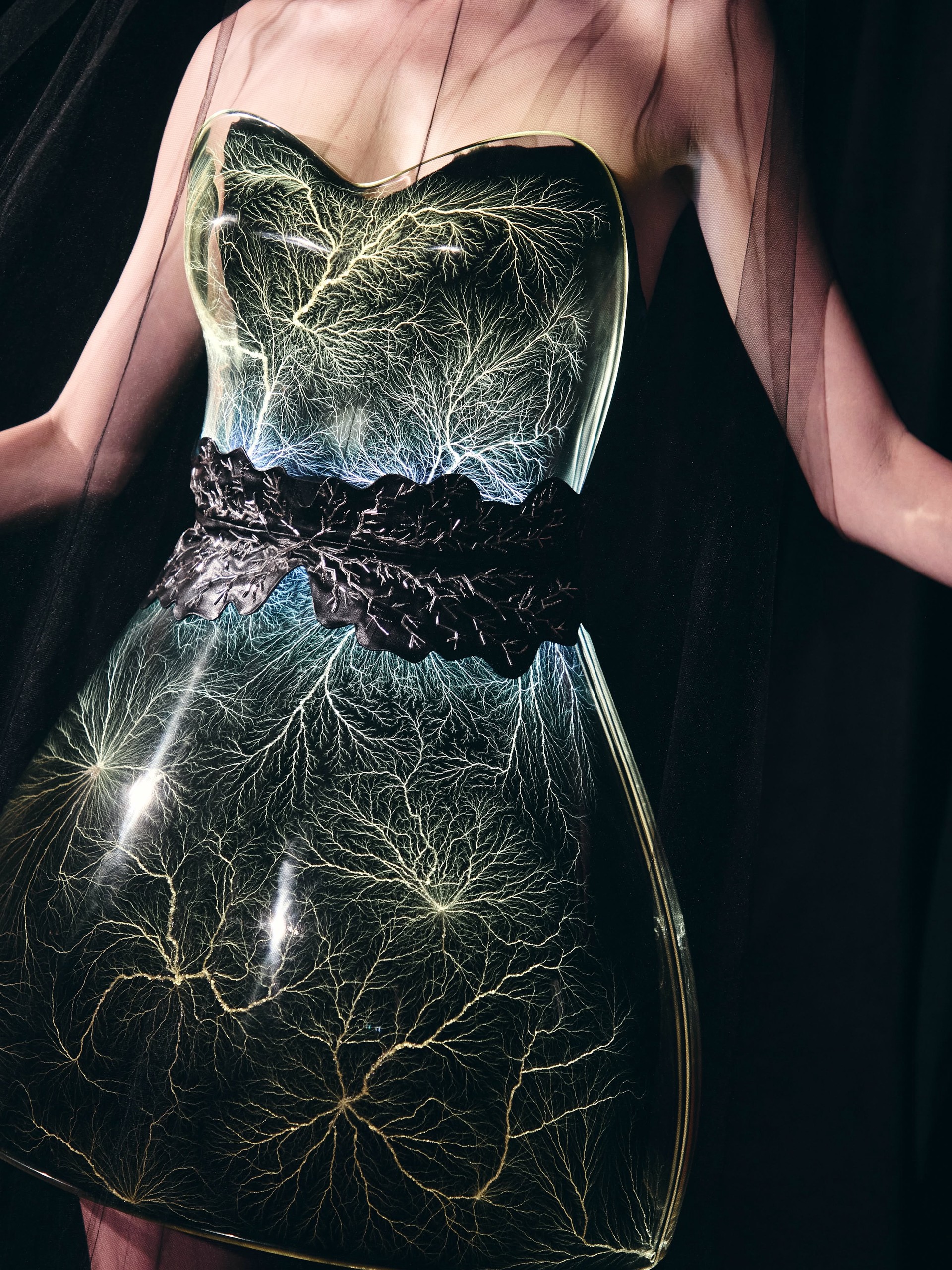 Hinh anh Iris van Herpen Haute Couture FW26: Dư chấn của những vì sao 7