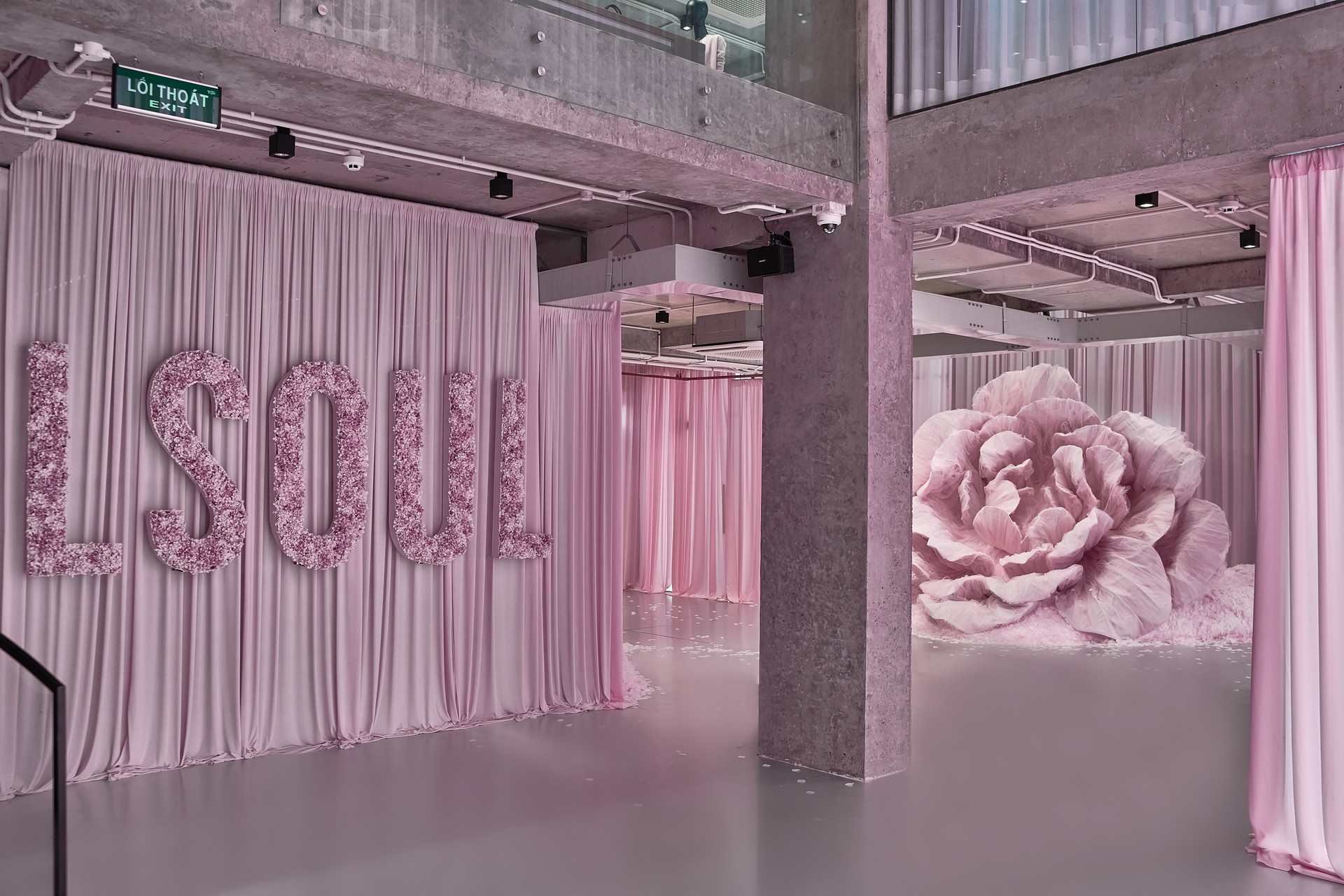Hinh anh HAUS OF LE SOL: L'AMOUR, hoa và một lời mời 7
