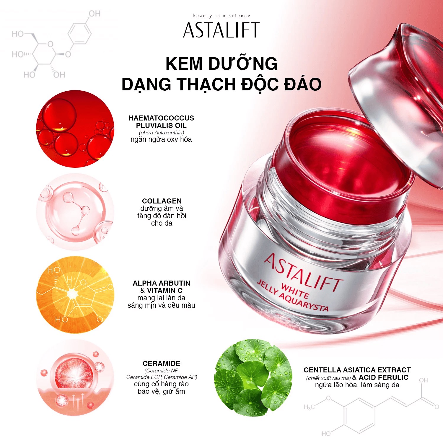 Hinh anh Astalift Jelly Aquarysta giải bài toán chống lão hóa nhờ công nghệ Fujifilm  4