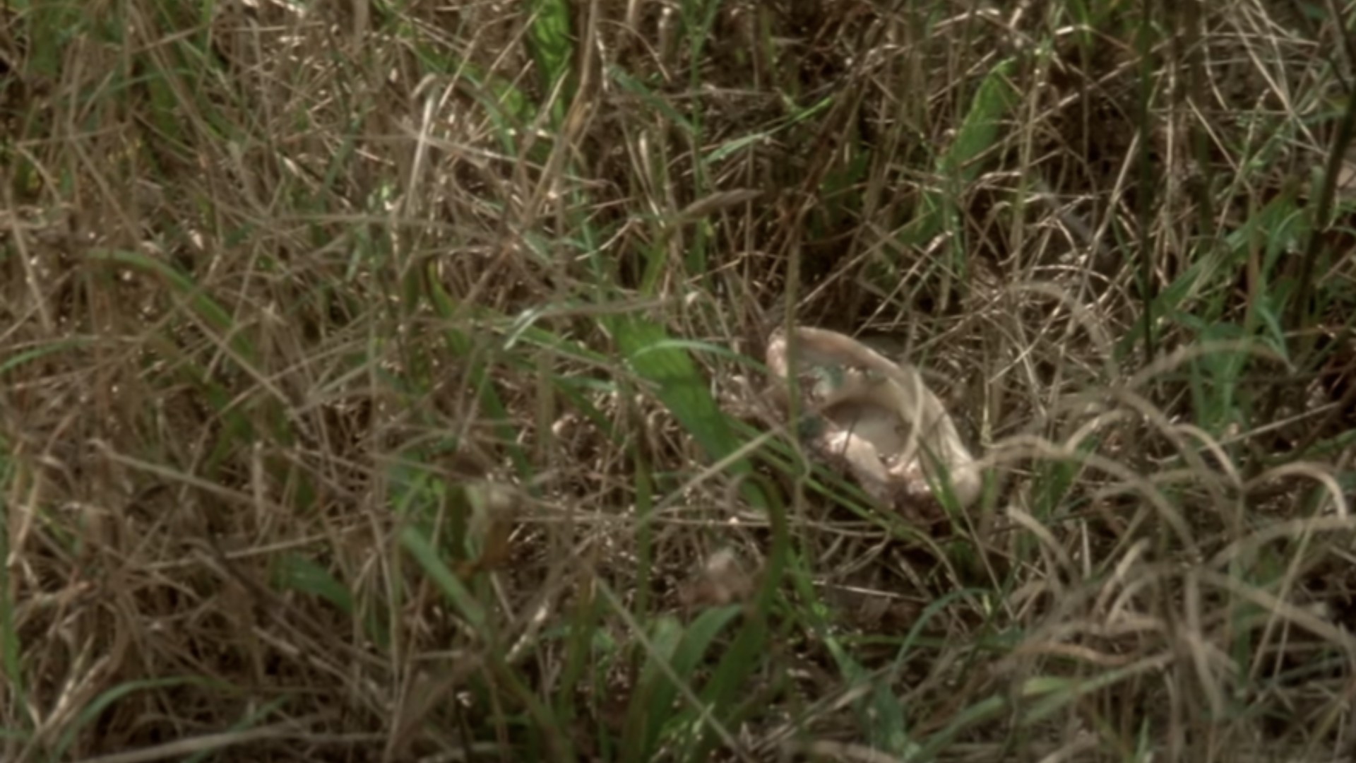 Hinh anh Vì sao thời trang mãi mê đắm vũ trụ điện ảnh của David Lynch? 3