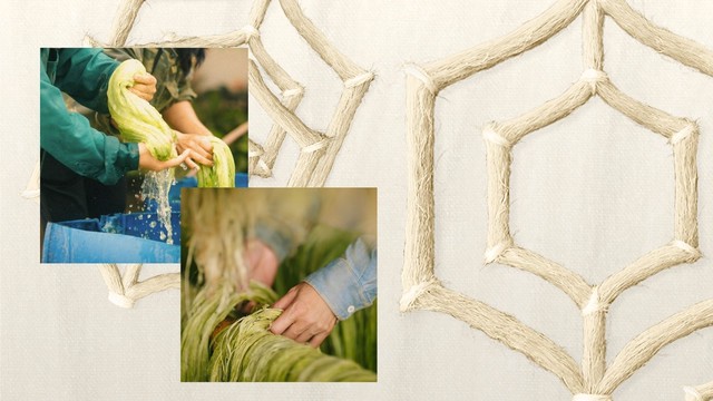 Triển lãm Mặc “Thơm”: Trải nghiệm thời trang đa giác quan từ Vải sợi Dứa