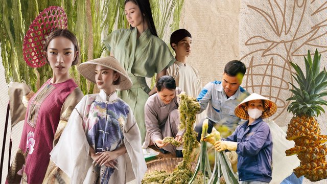 Từ ruộng dứa đến chất liệu bản địa: Hành trình tạo nên Vải Sợi Dứa PINALINA™