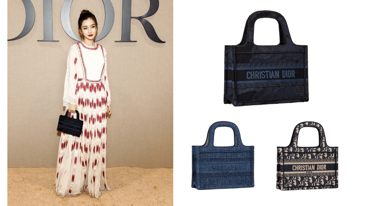 Có gì đặc biệt với chiếc túi xách Mini Book Tote mới được ra mắt của Dior?