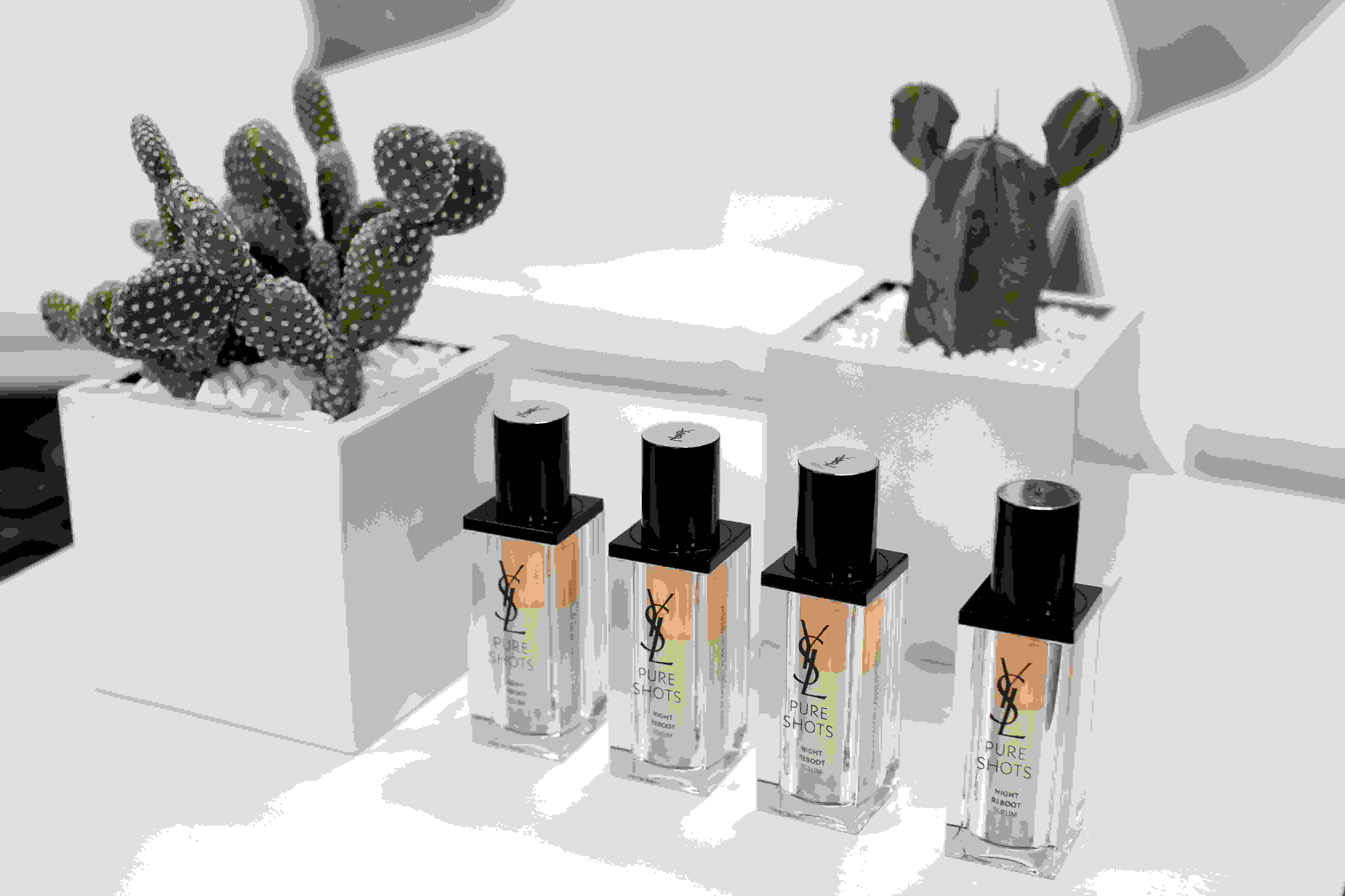 Khám phá khu vườn Ourika – di sản trọn đời của NTK Yves Saint Laurent tại Ma-rốc