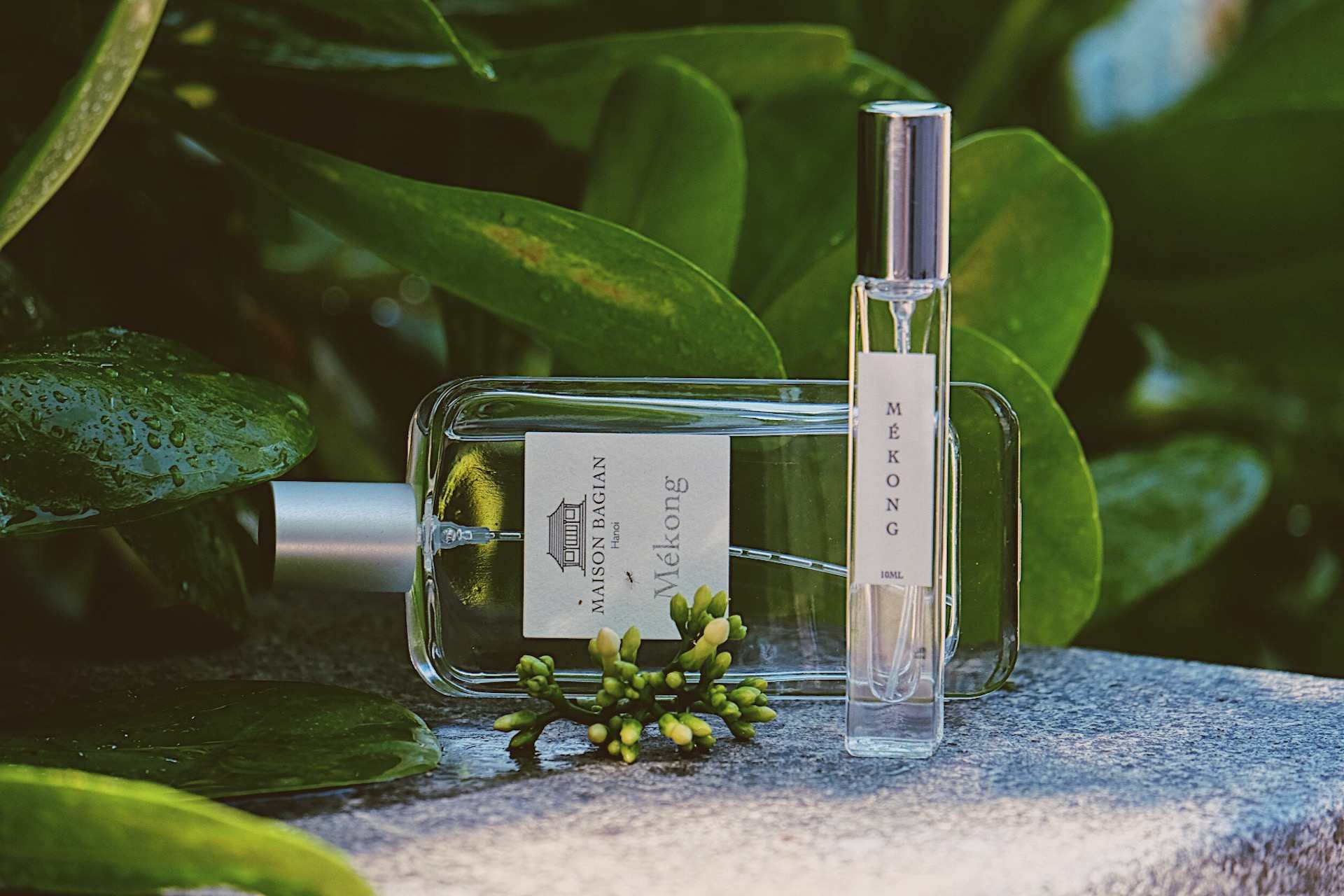 [Brand to know] Maison Bagian: Bản giao hưởng mùi hương trên đất Việt