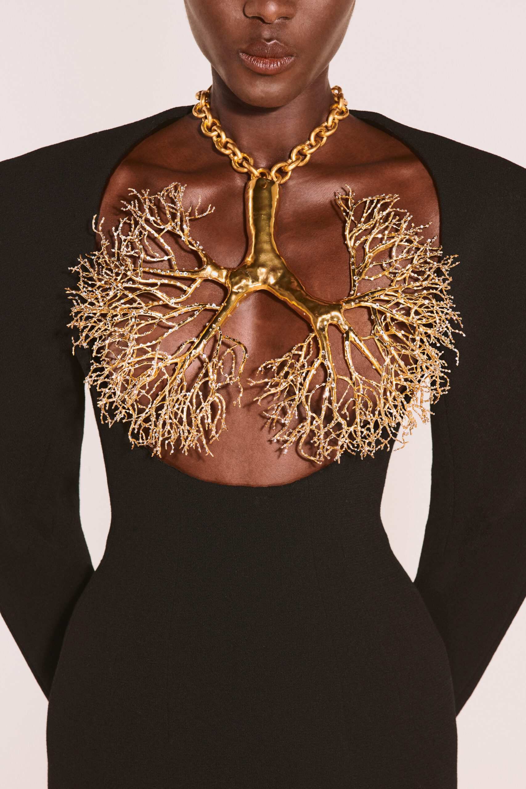 Schiaparelli