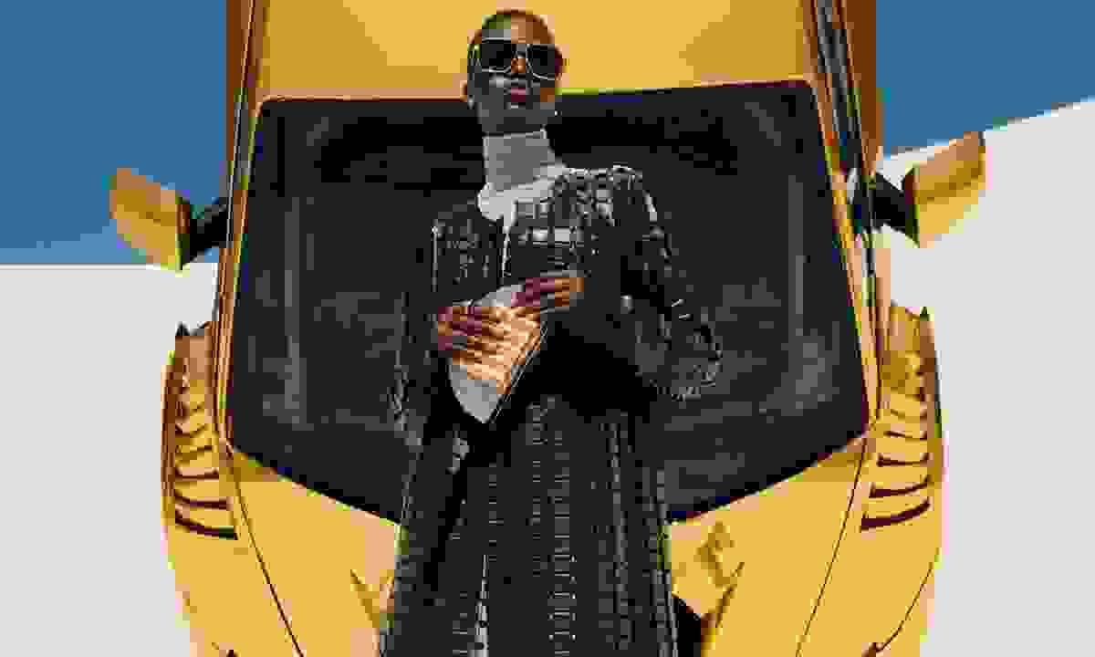 Hinh anh Bottega Veneta 1
