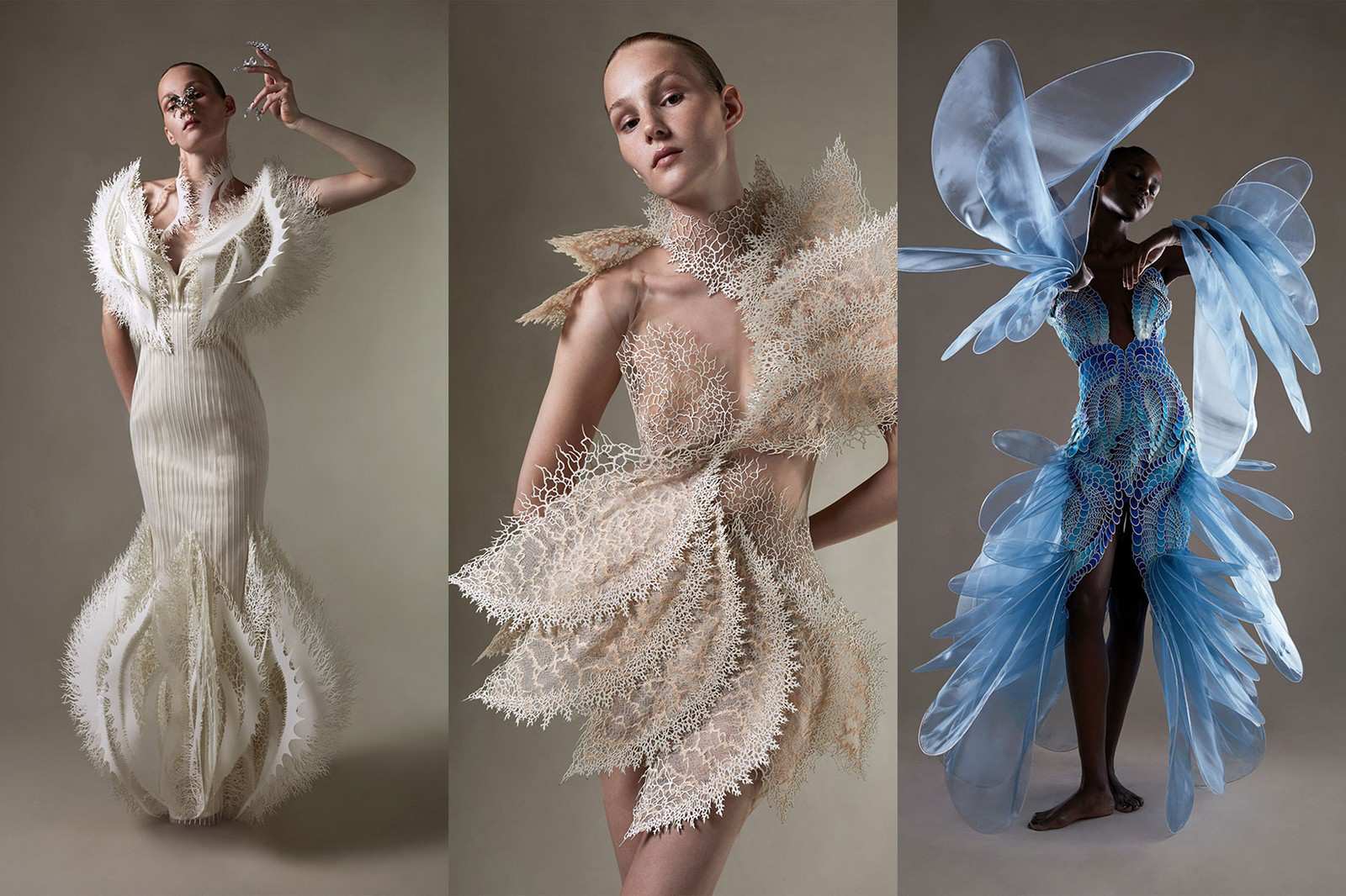 Hinh anh Haute Couture 1