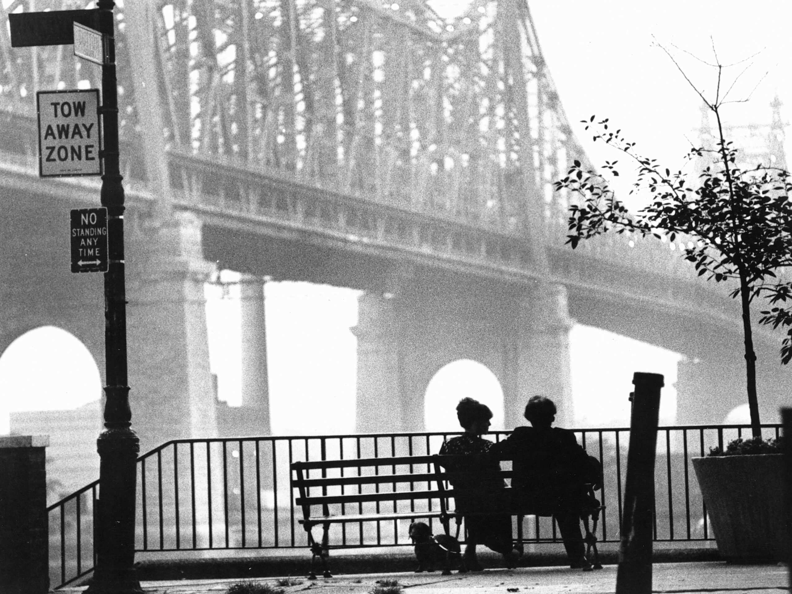 Hinh anh West Side Story, Robert Wise và Jerome Robbins 1