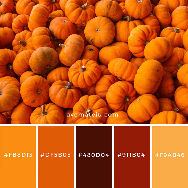 Hinh anh Thời trang mùa Halloween rục rịch đổ bộ, màu cam bí đỏ lại trở thành màu sắc dẫn đầu xu hướng thời trang Thu-Đông năm nay 2
