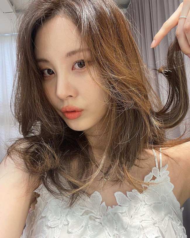 Hinh anh Màu nâu tây 2