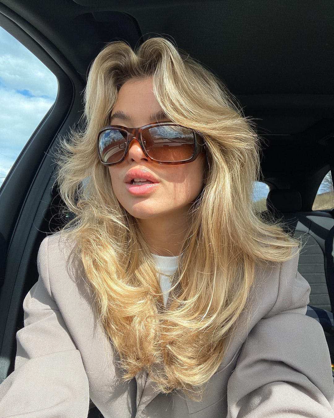 Hinh anh Mái bay 2